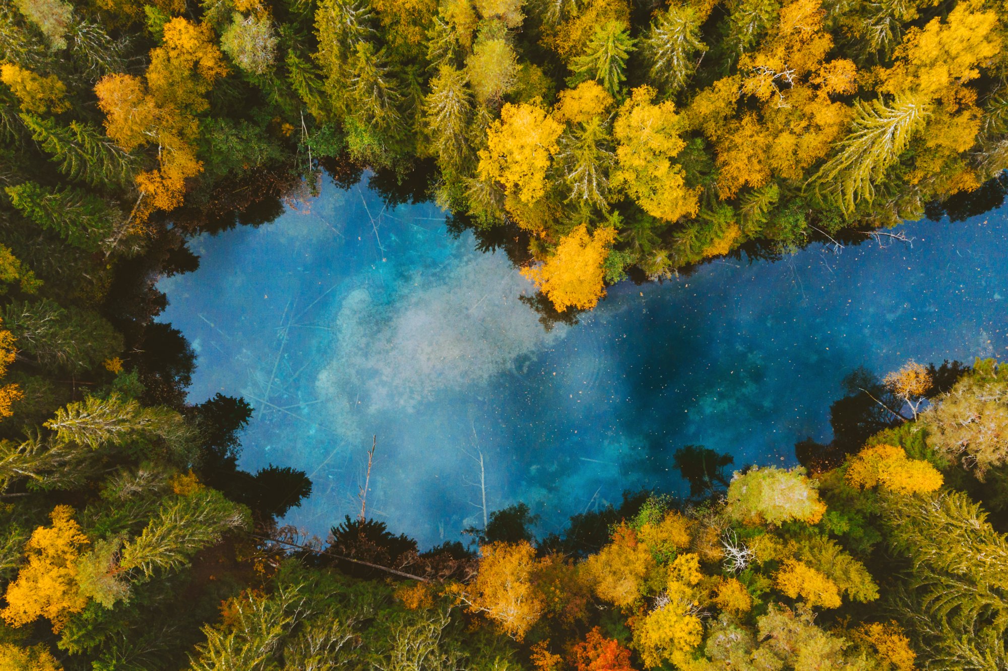 Autumn forest and blue lake aerial view turquoise water reflection framed colorful pine trees landscape travel wilderness scenery in Finland explore scandinavian nature from above top down 