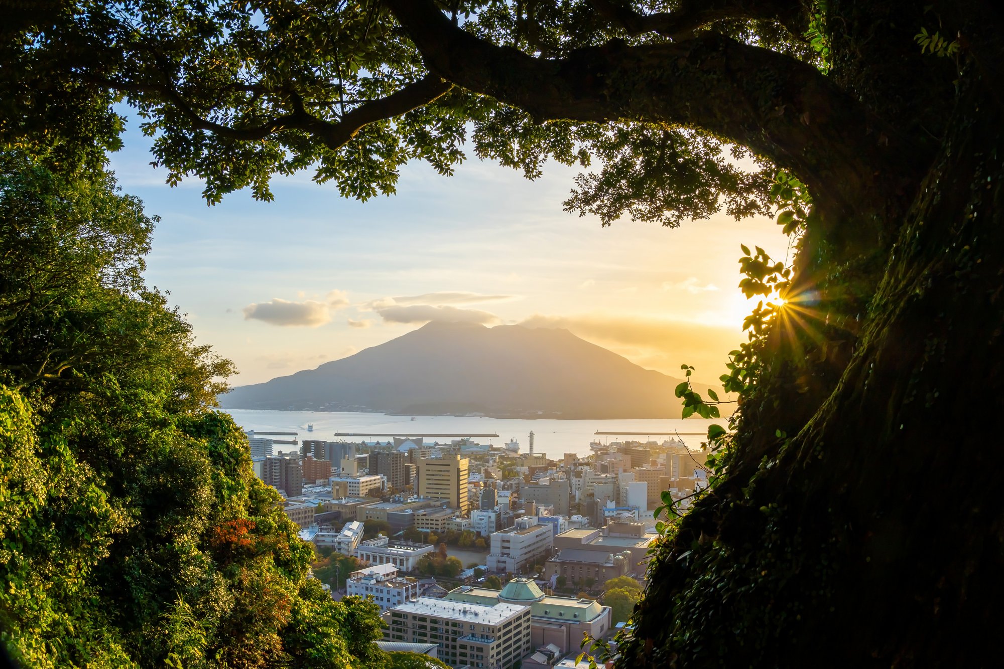 Kagoshima city downtown skyline cityscape  with Sakurajima Volcano in Kyushu, Japan at sunrise