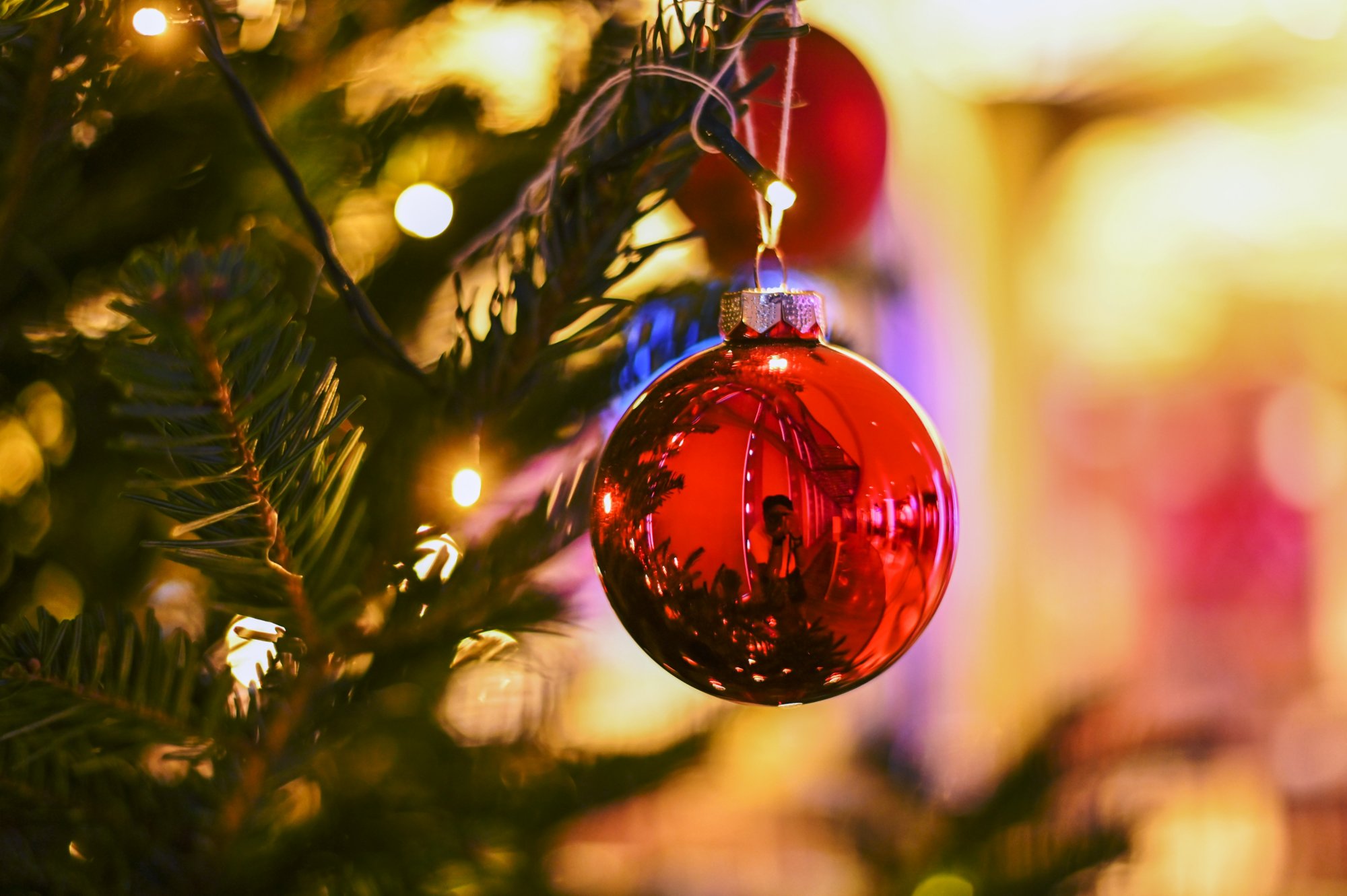 Rote Weihnachtsbaumkugel hängt am Tannenbaum