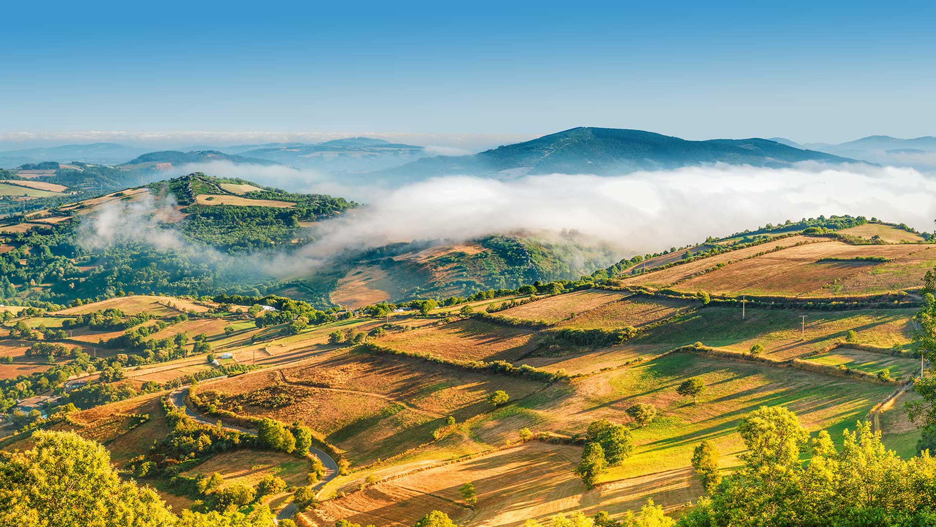 Foggy Landscape Galicia Spain