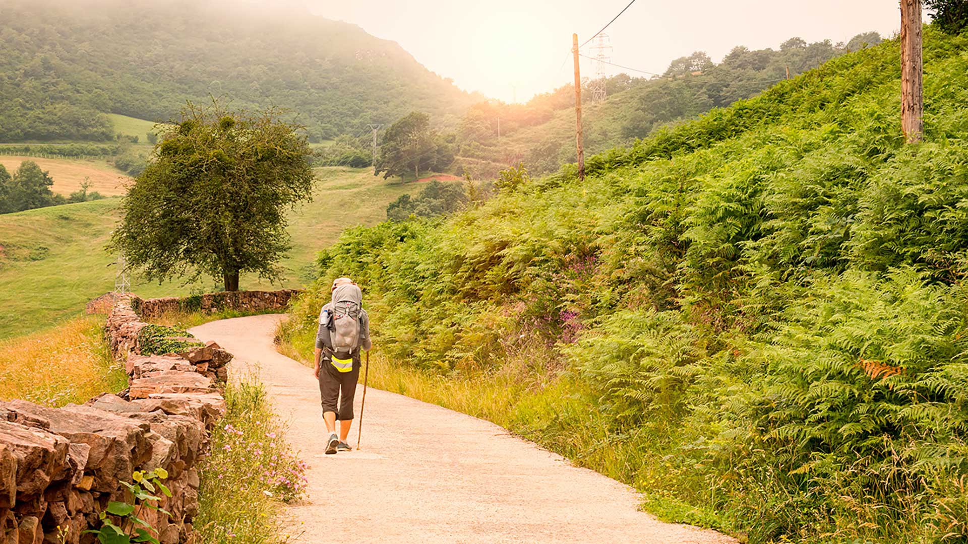 Lonely Pilgrim with backpack walking the Camino de Santiago in Spain, Way of St James
