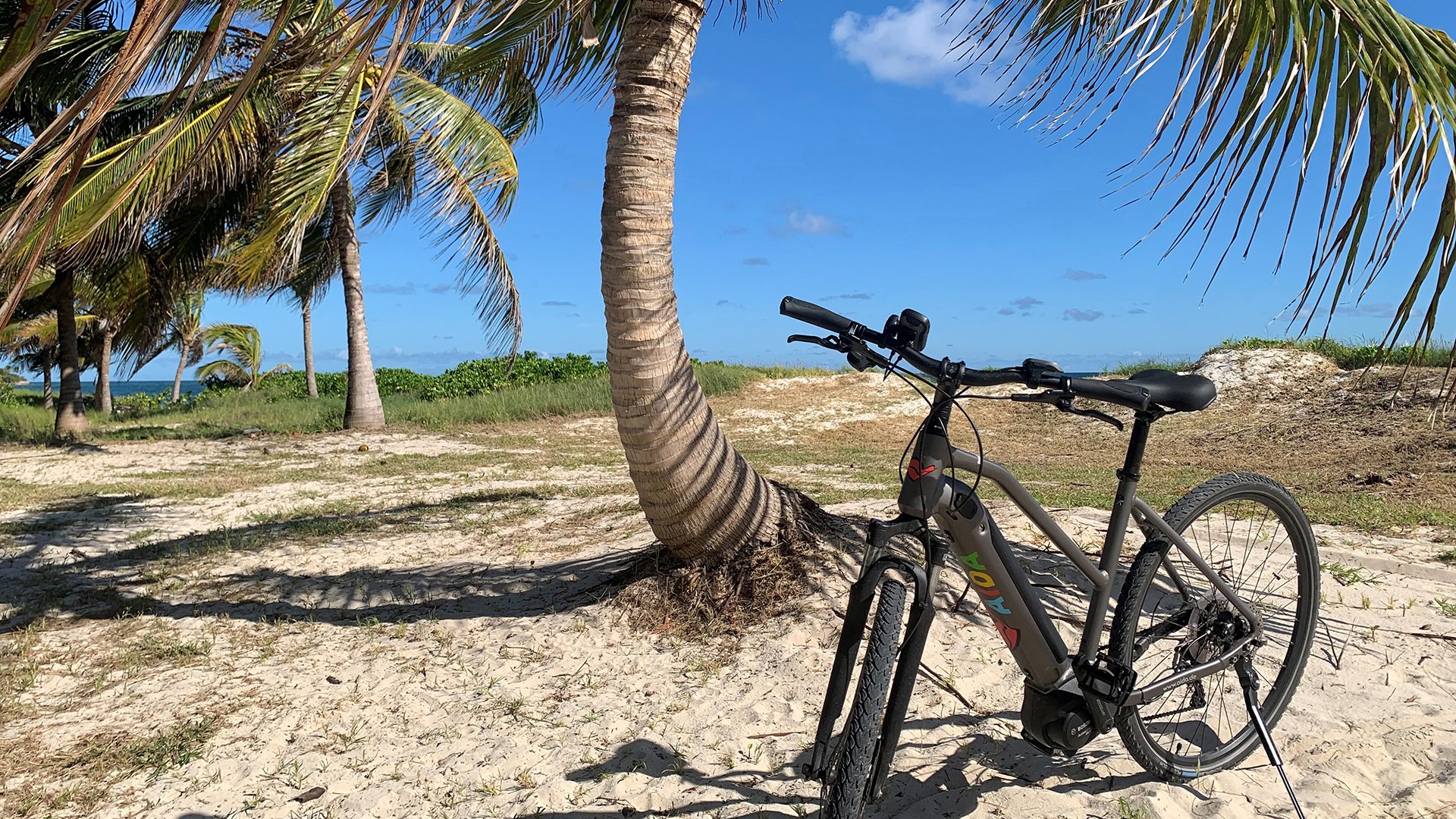 Bonaires schöner Norden mit dem E-Bike