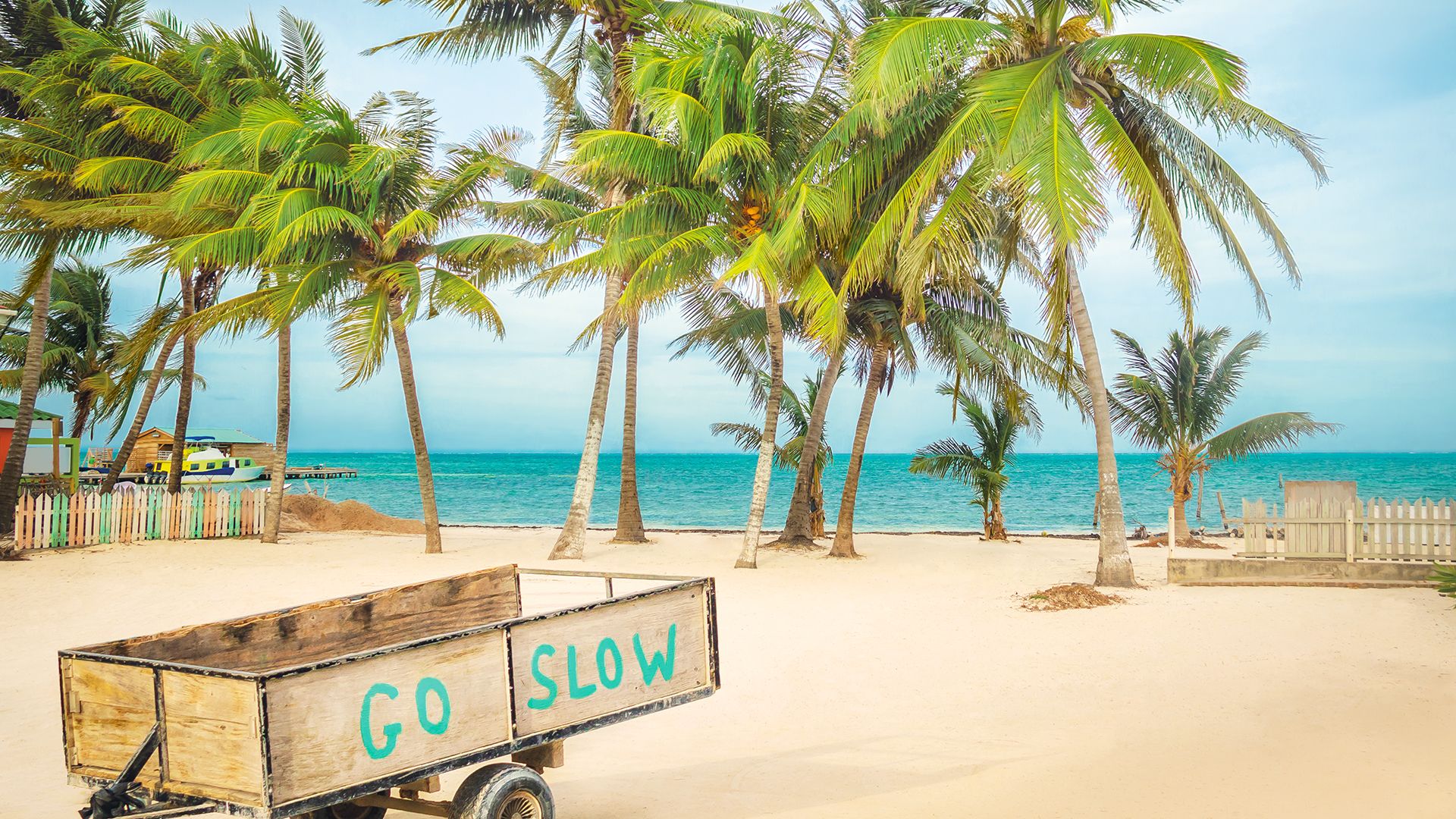 Wooden Cart with Go Slow message in a tropical beach with palm trees - Caye Caulker, Belize