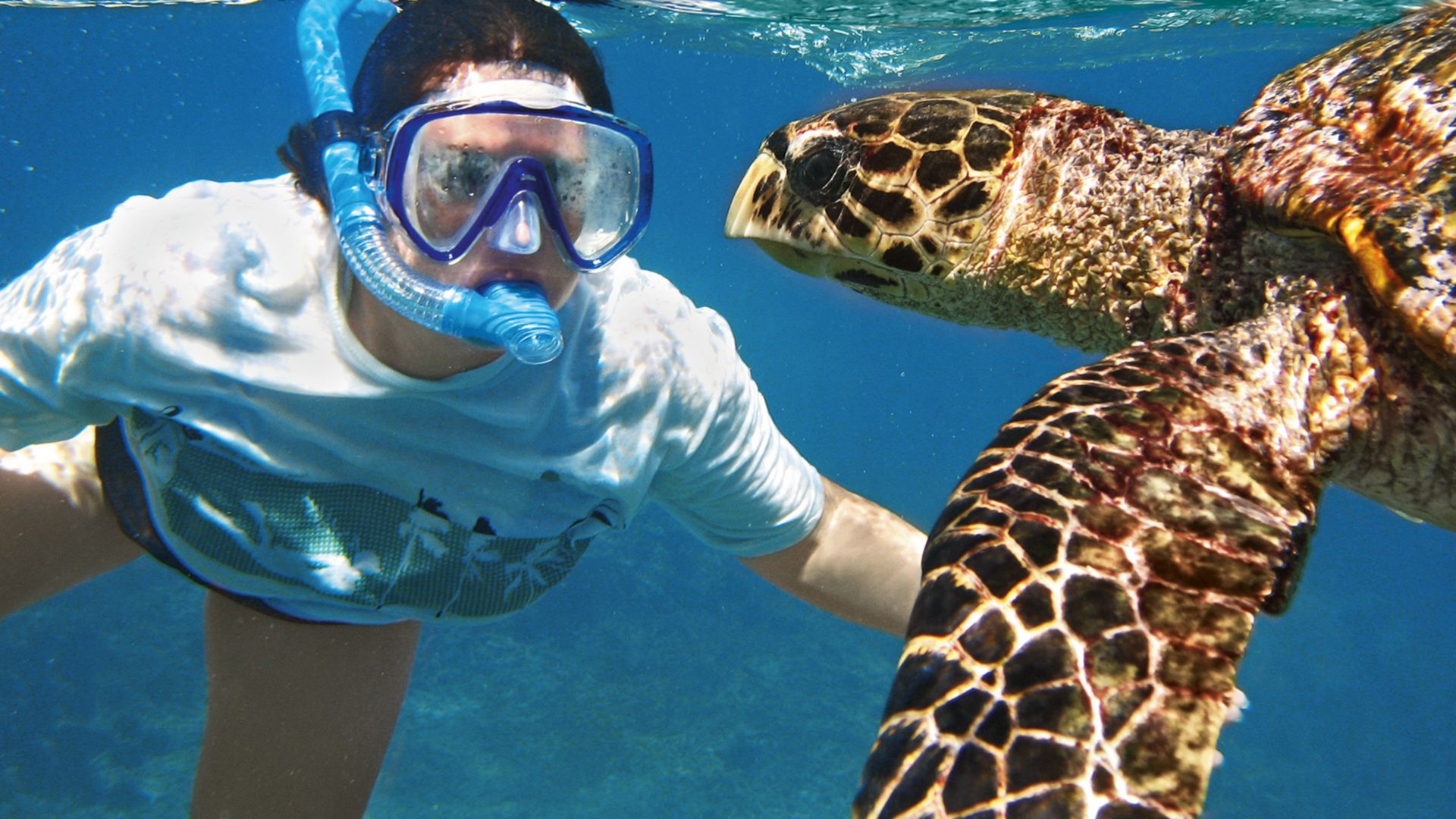Exklusiv: Schnorchelabenteuer im Hol Chan Marine Reserve