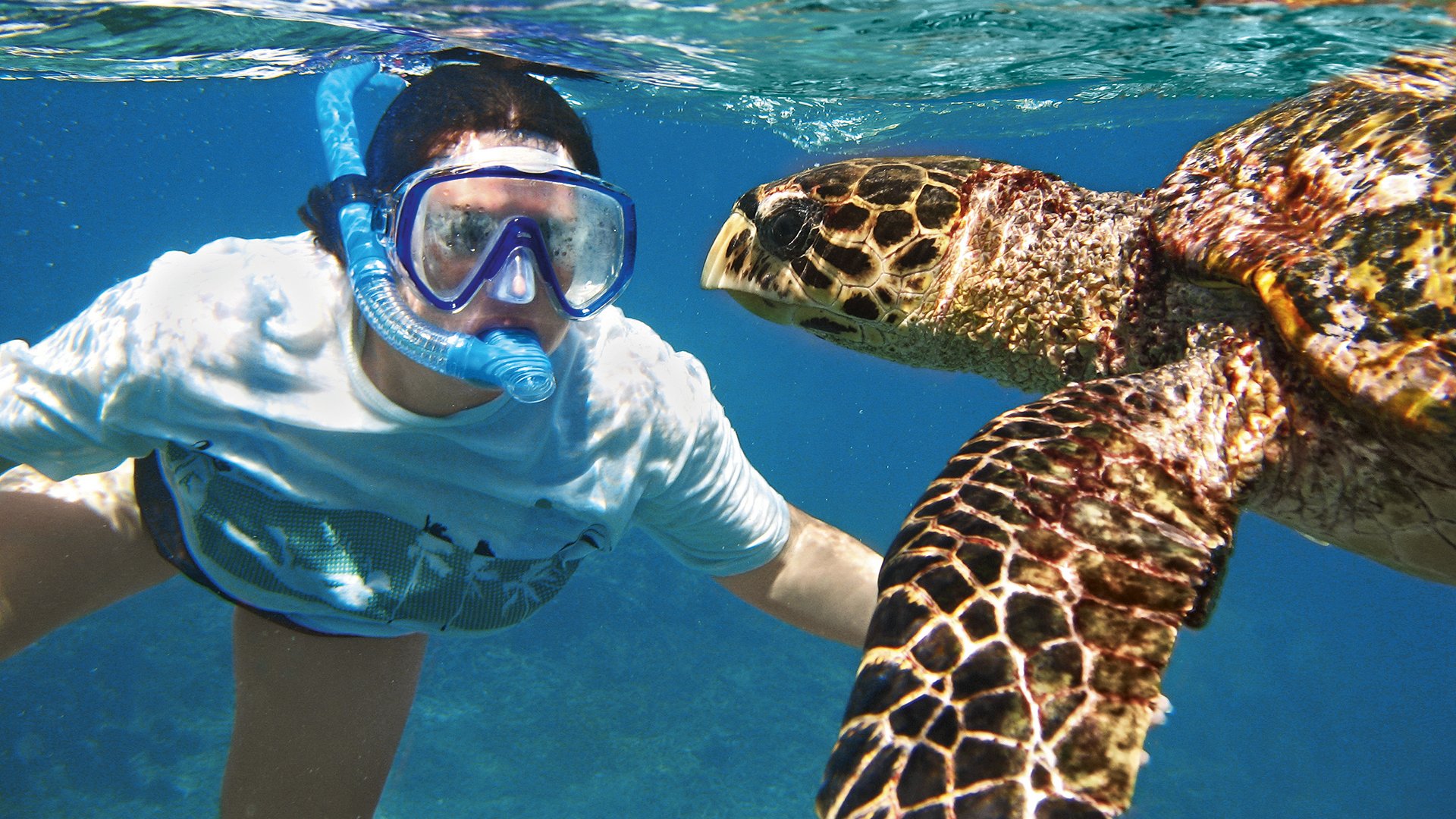 Exklusiv: Schnorchelabenteuer im Hol Chan Marine Reserve
