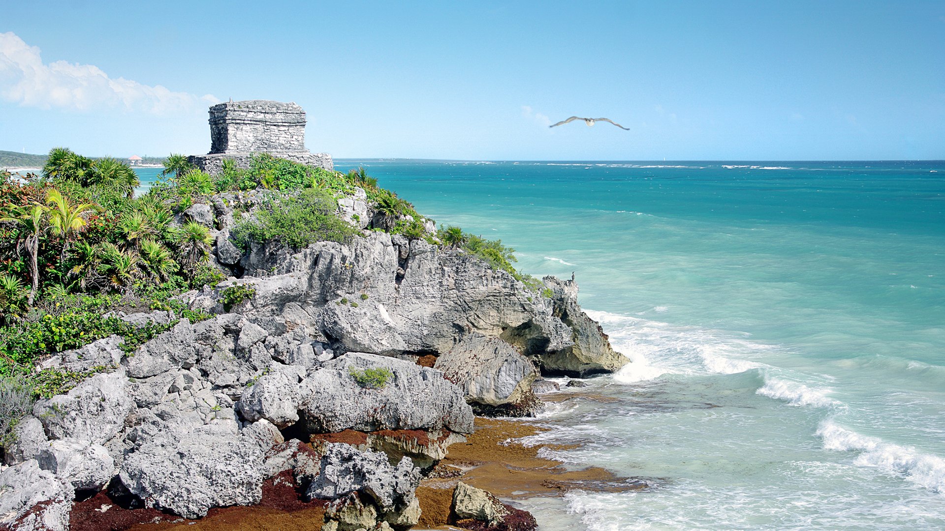 Tulum is a Pre-Columbian Maya walled city used as a major port. The ruins are situated on tall cliffs along the east coast of the Yucat?n Peninsula on the Caribbean Sea. Tulum was built late in the thirteenth century, during what is known as the Mayan post-classic period, and was one of the last cities inhabited and built by the Mayas. As well as being the only Mayan city built on a coast, Tulum was one of the few protected by a wall.
