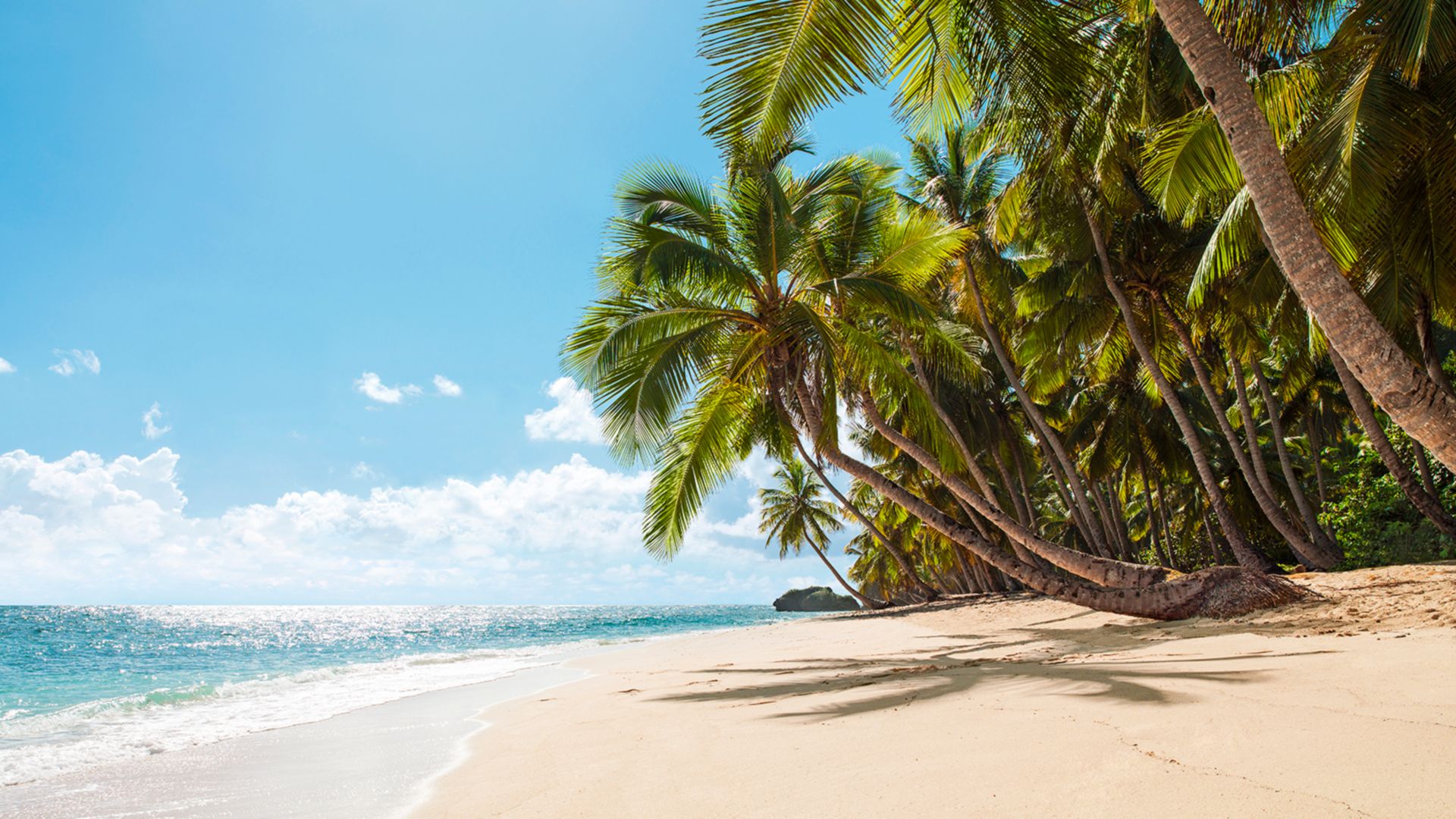 Adrenalin Pur: Im Twister zur Privatinsel Isla de la Pasión