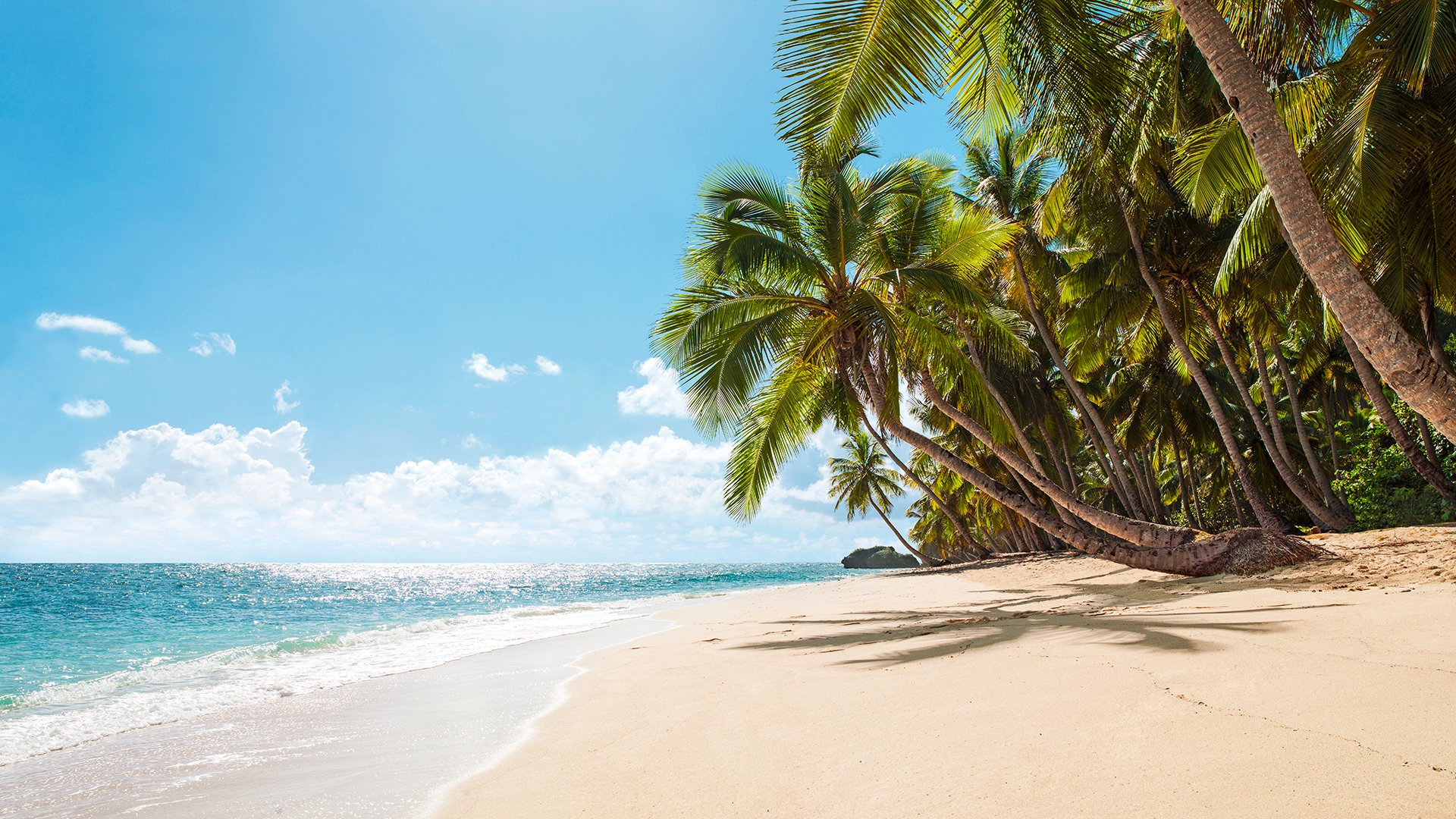 Adrenalin Pur: Im Twister zur Privatinsel Isla de la Pasión