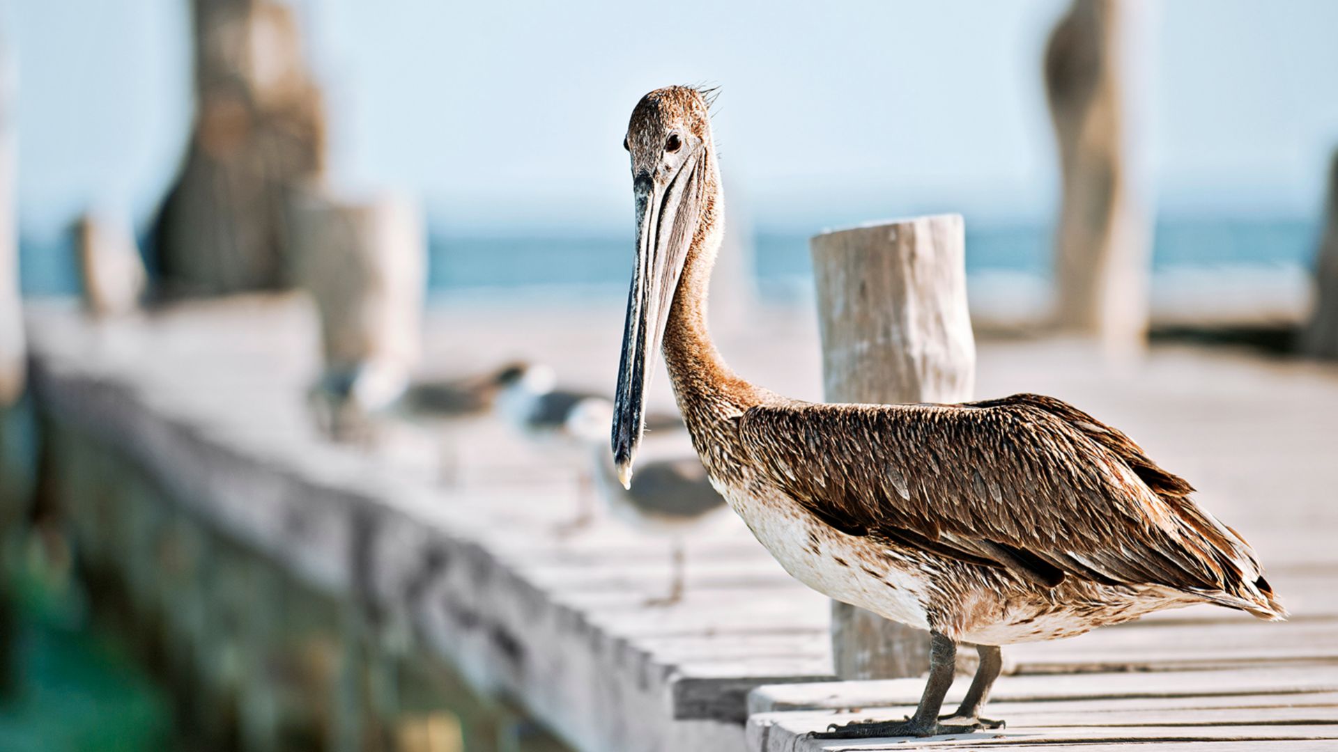 Strandaufenthalt im Naturpark Chankanaab