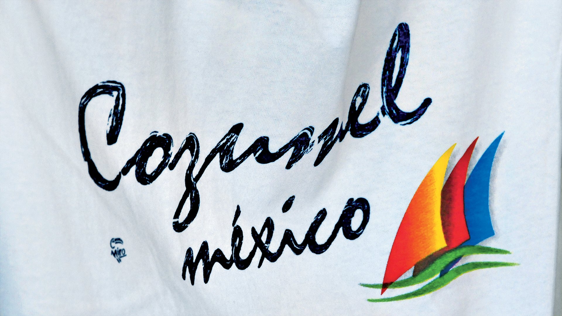 Cozumel zu Wasser und zu Land 