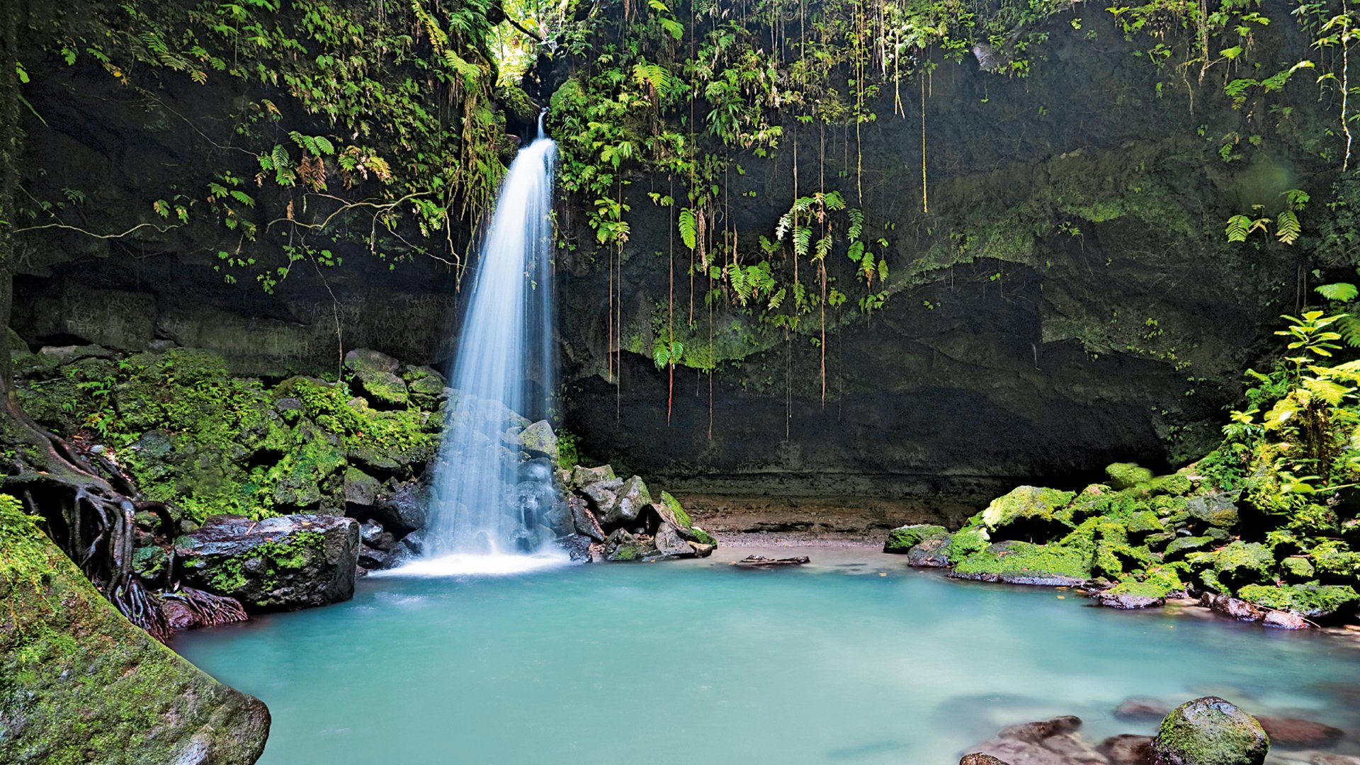 Emerald pool on the idland of dominica in the Caribbean deep in the rainforest