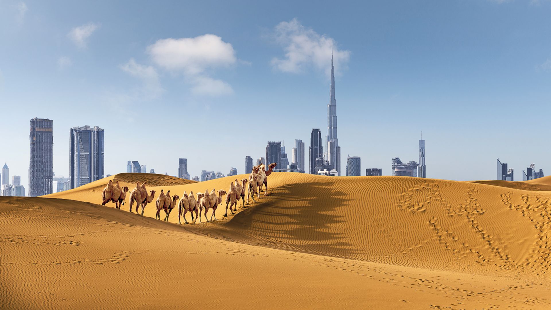 Im 4x4 durch Dubais Dünen – Wüstenpuls am Morgen