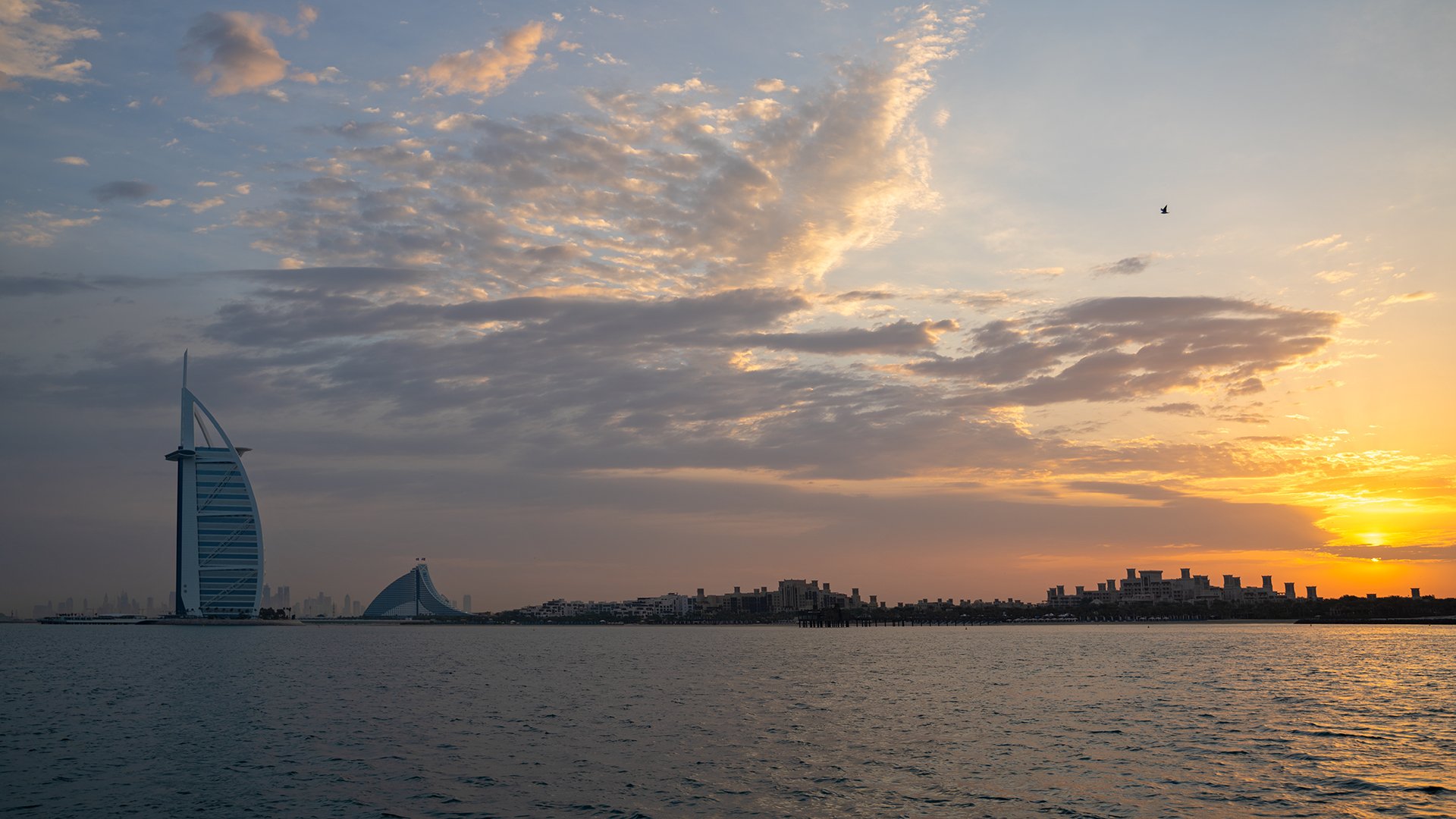 Komm an Land: Panoramafahrt entlang der Highlights von Dubai