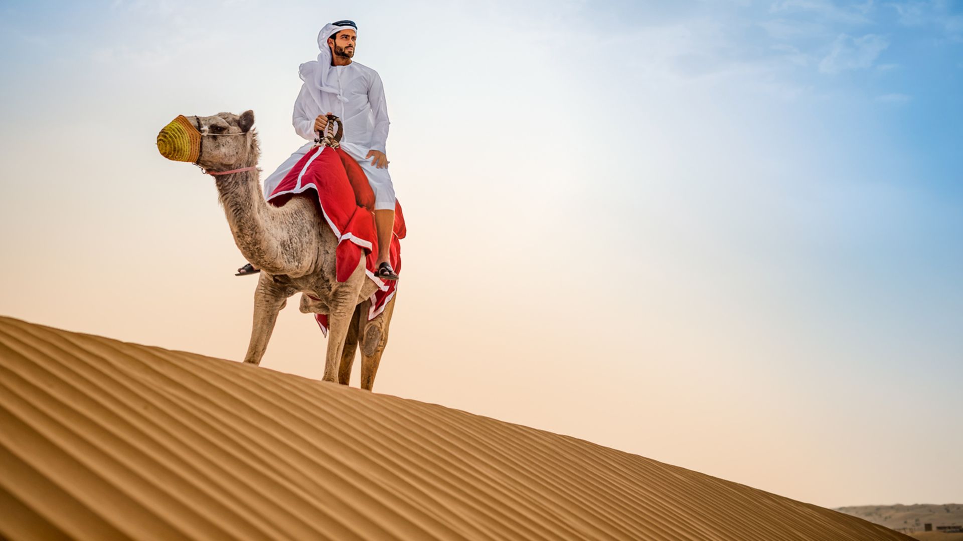Kamelritt im Wüstenresort – Dubais Orientabend