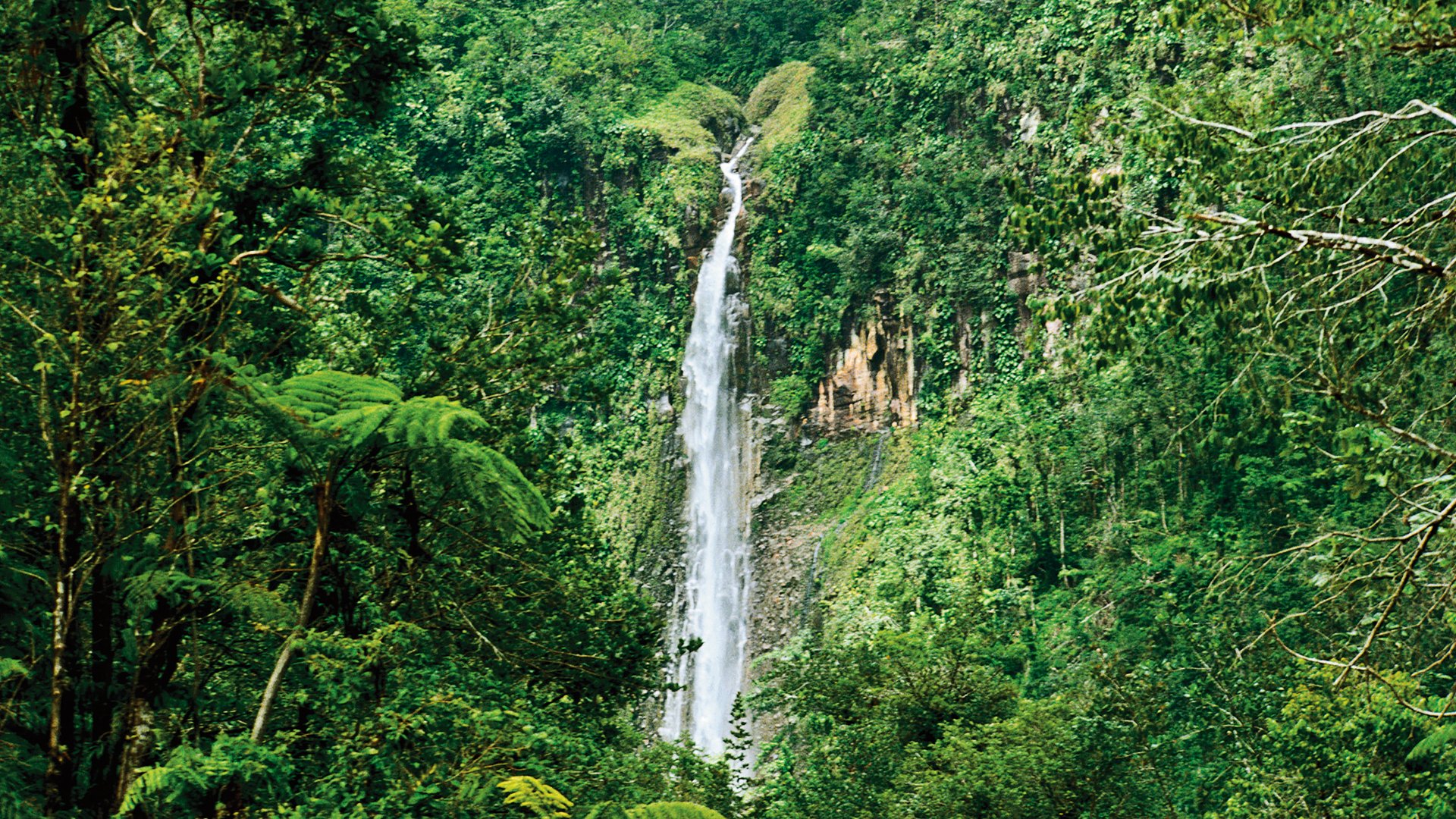 Atemberaubende Aussichten, Wasserfall und Rumverkostung