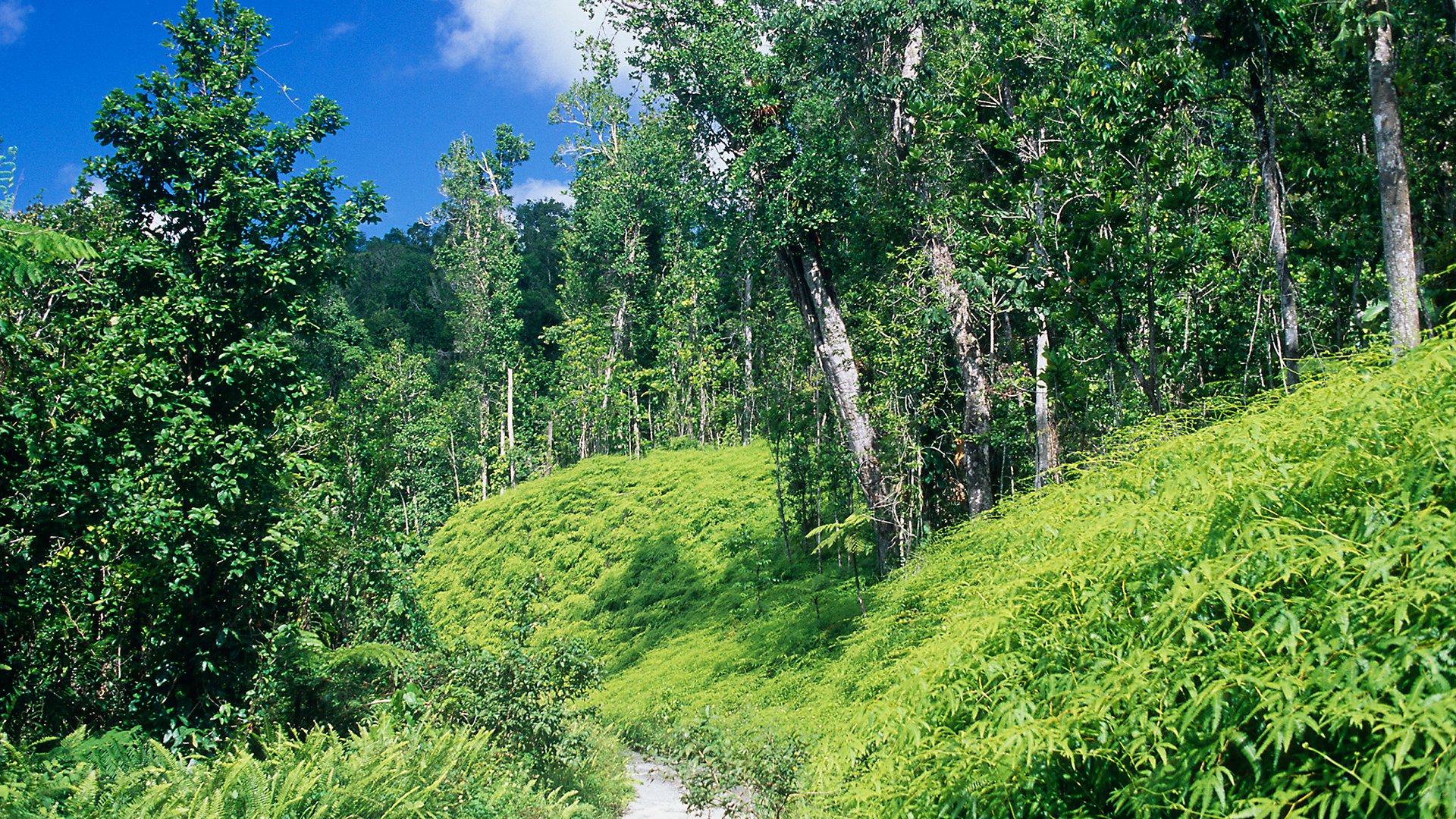 Wanderung zum Vulkan „La Soufrière“