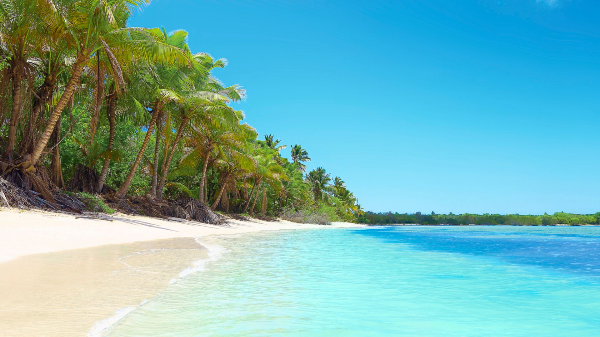 Bootssafari zur Isla Saona