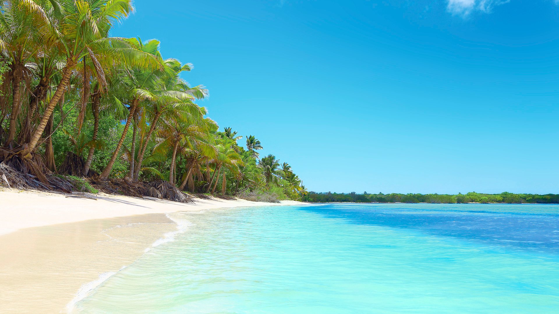 Paradise: tropical Idyllic Sandy beach, Palm trees. Saona Island, Dominican Republic