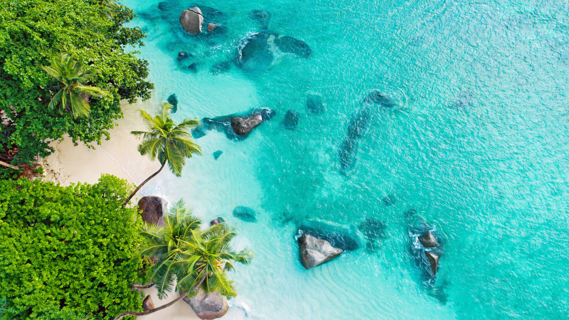 Ein halber Tag am Strand: Bandos Resort