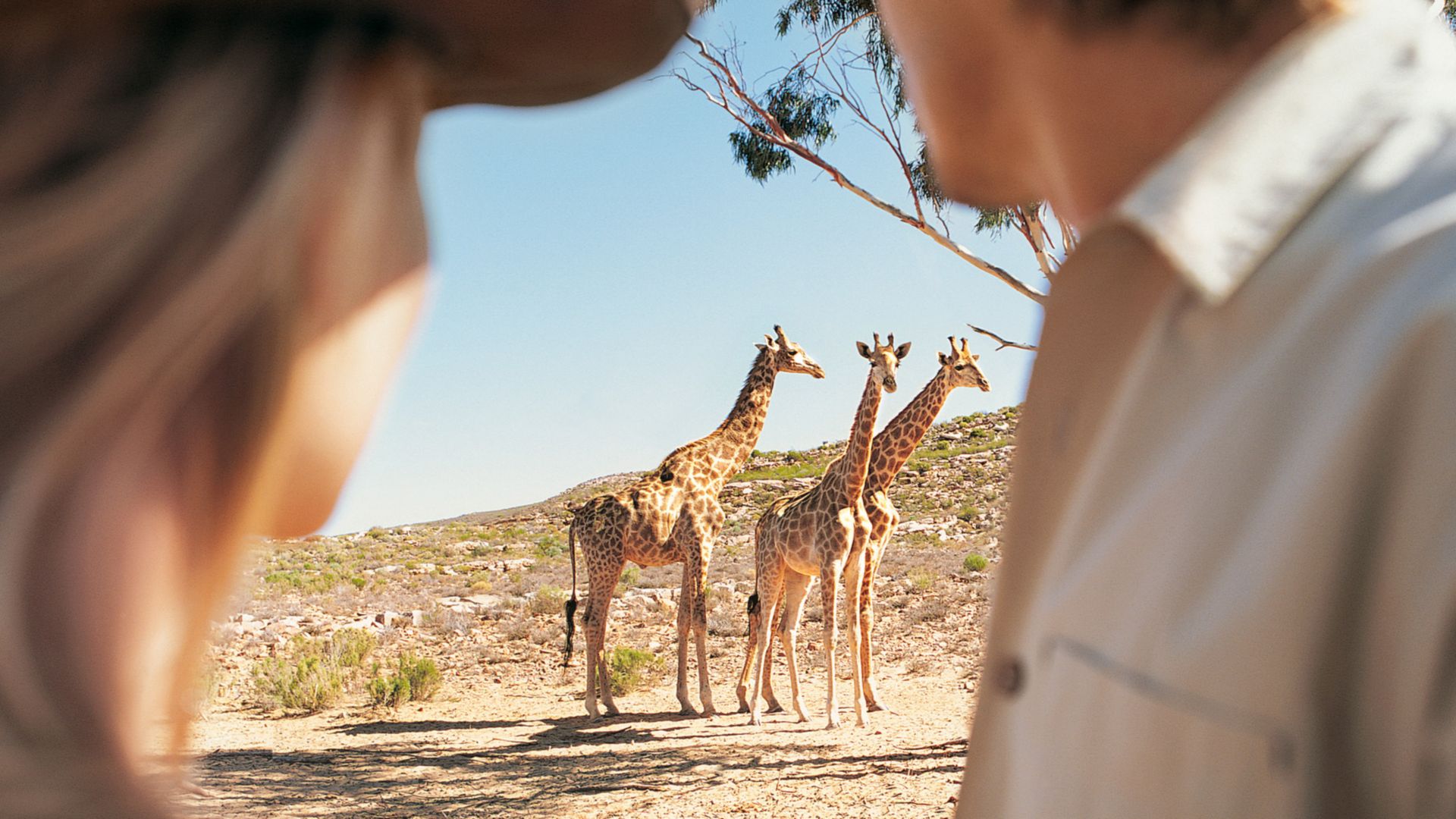Lokale Spezialitäten und Safari Parks