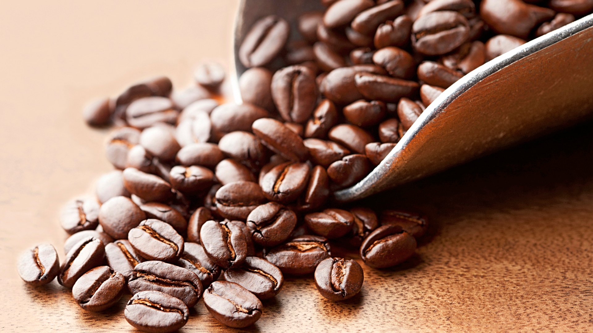 Scoop of roasted organic Kona coffee beans on wood