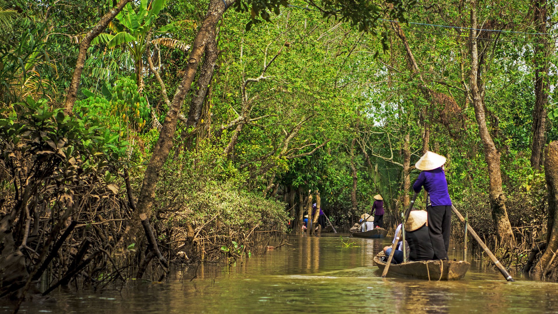 A ride in delta mekong
