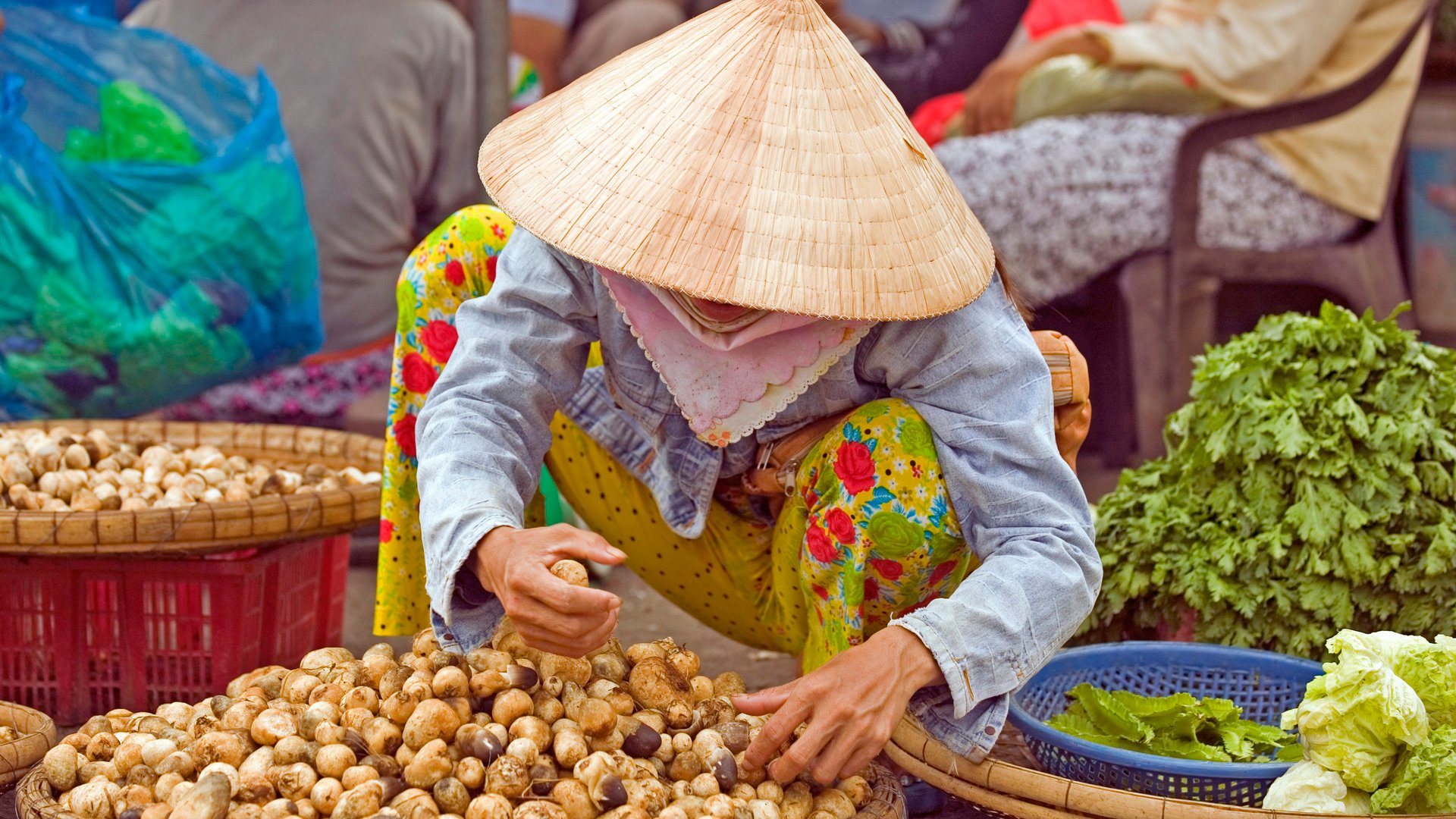 vietnamese woman market vendor
