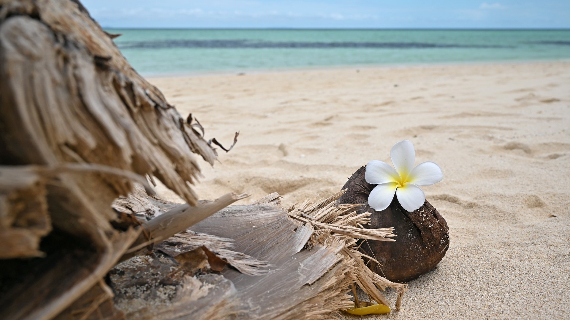 Ein halber Tag am Strand