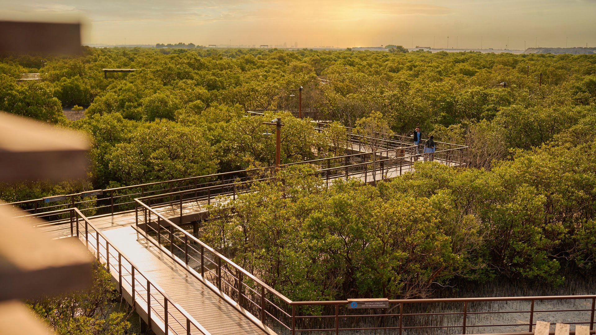 Grünes Singapur: Labrador Naturreservat