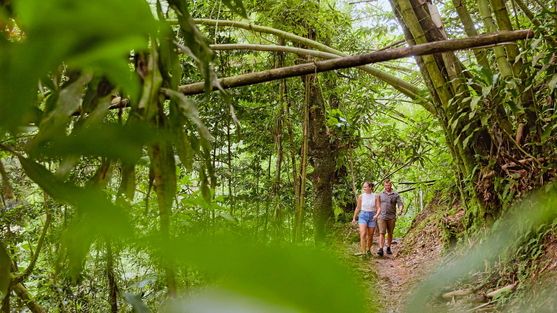 Singapurs beliebtes Naturgebiet Southern Ridges