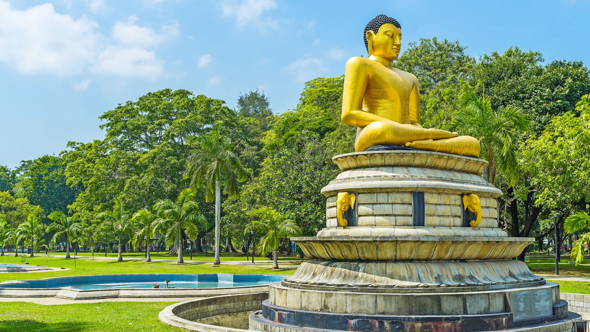Colombo auf einen Blick