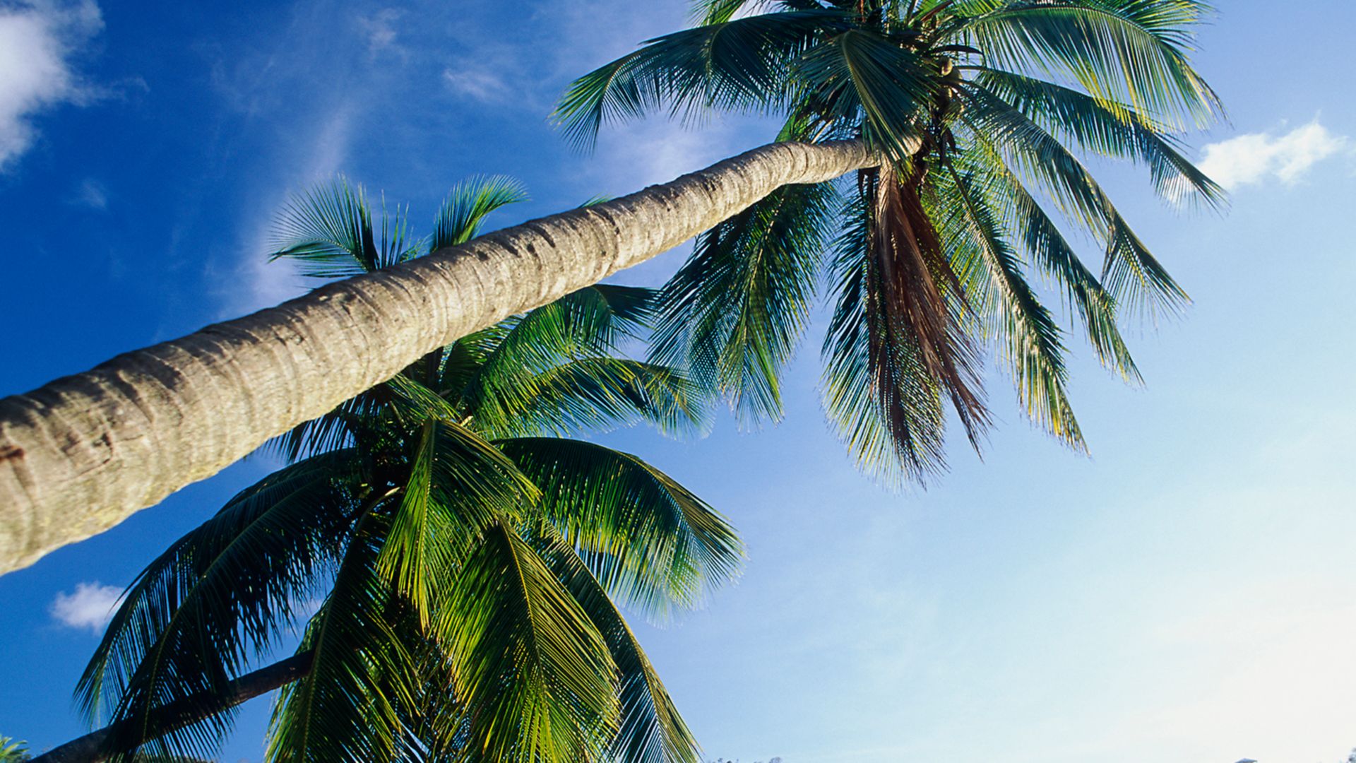 Entspannen am Strand der Rodney Bay