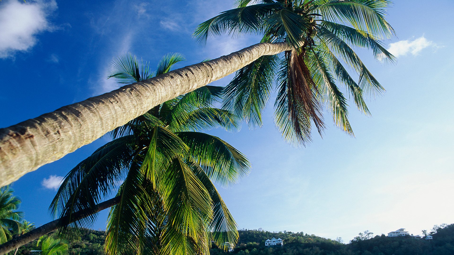 Entspannen am Strand der Rodney Bay