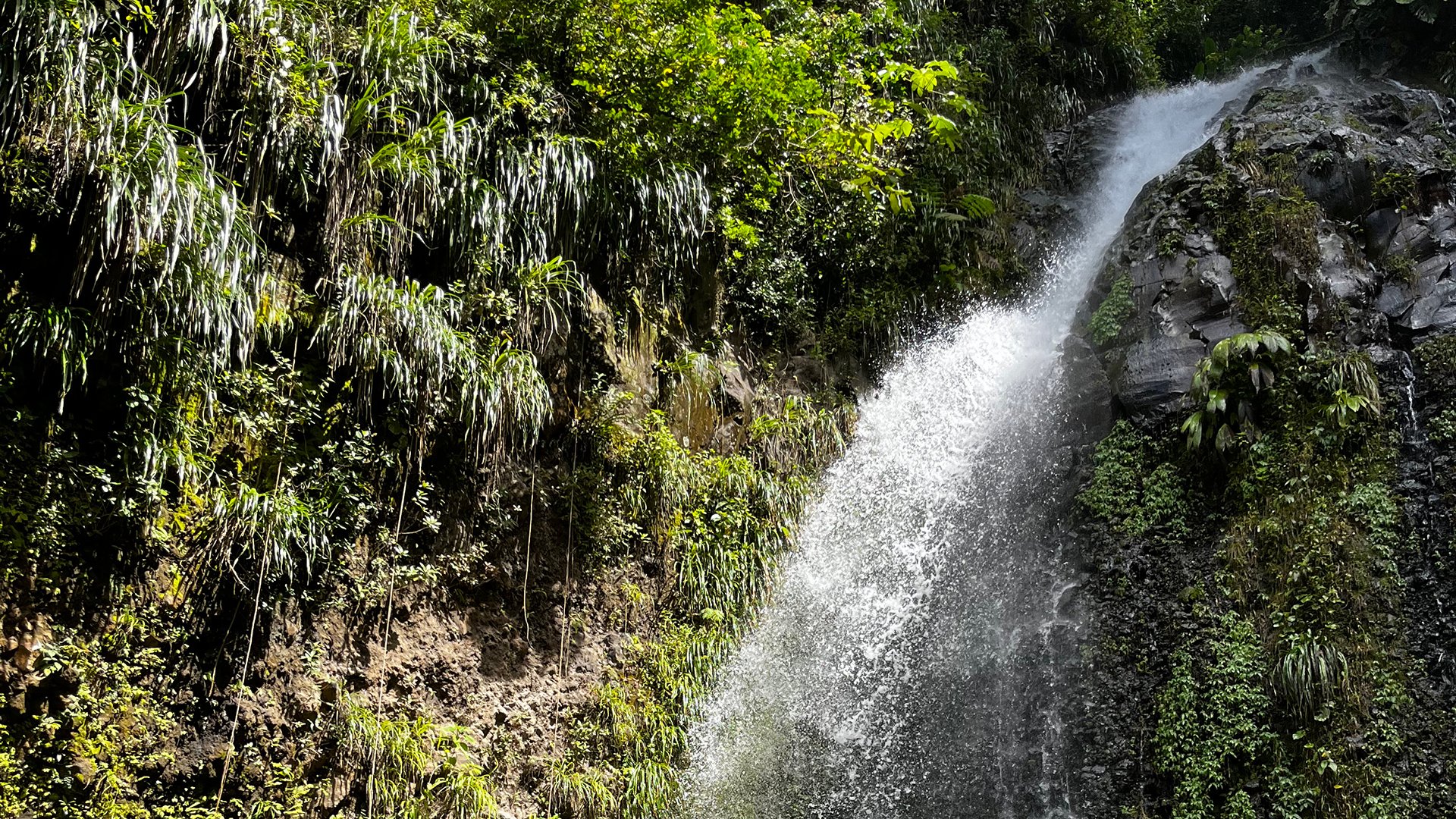 Dark-View-Wasserfälle