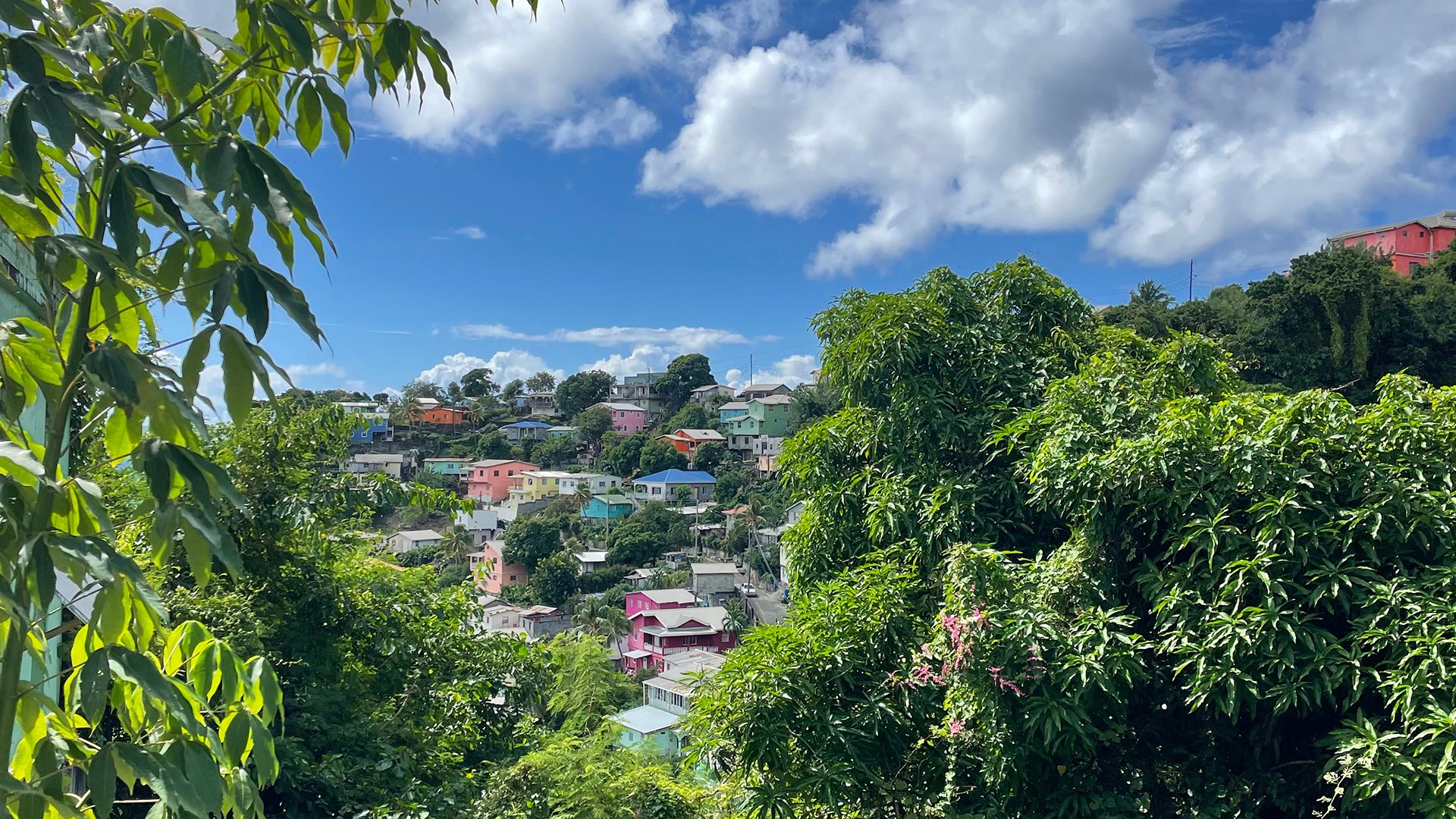 St. Vincent mit dem Rad entdecken