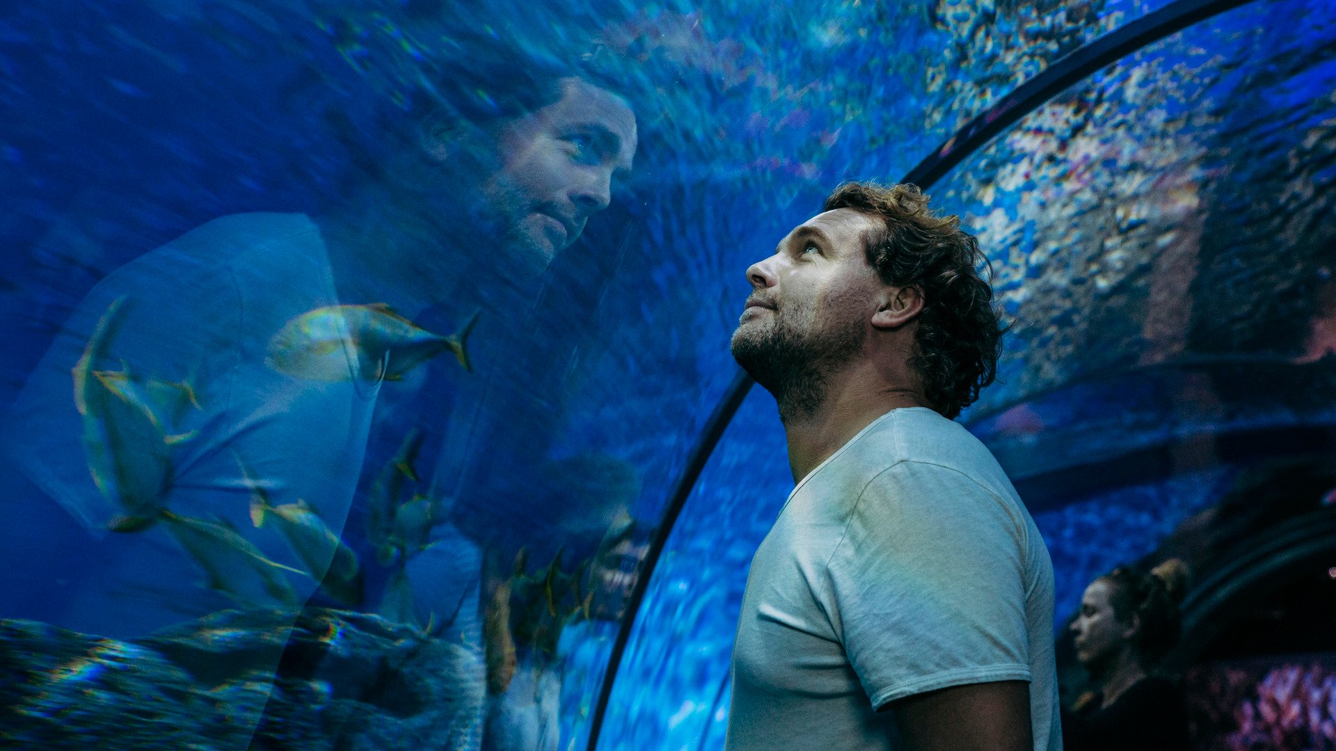 Eintrittsticket in das SEA LIFE Blankenberge