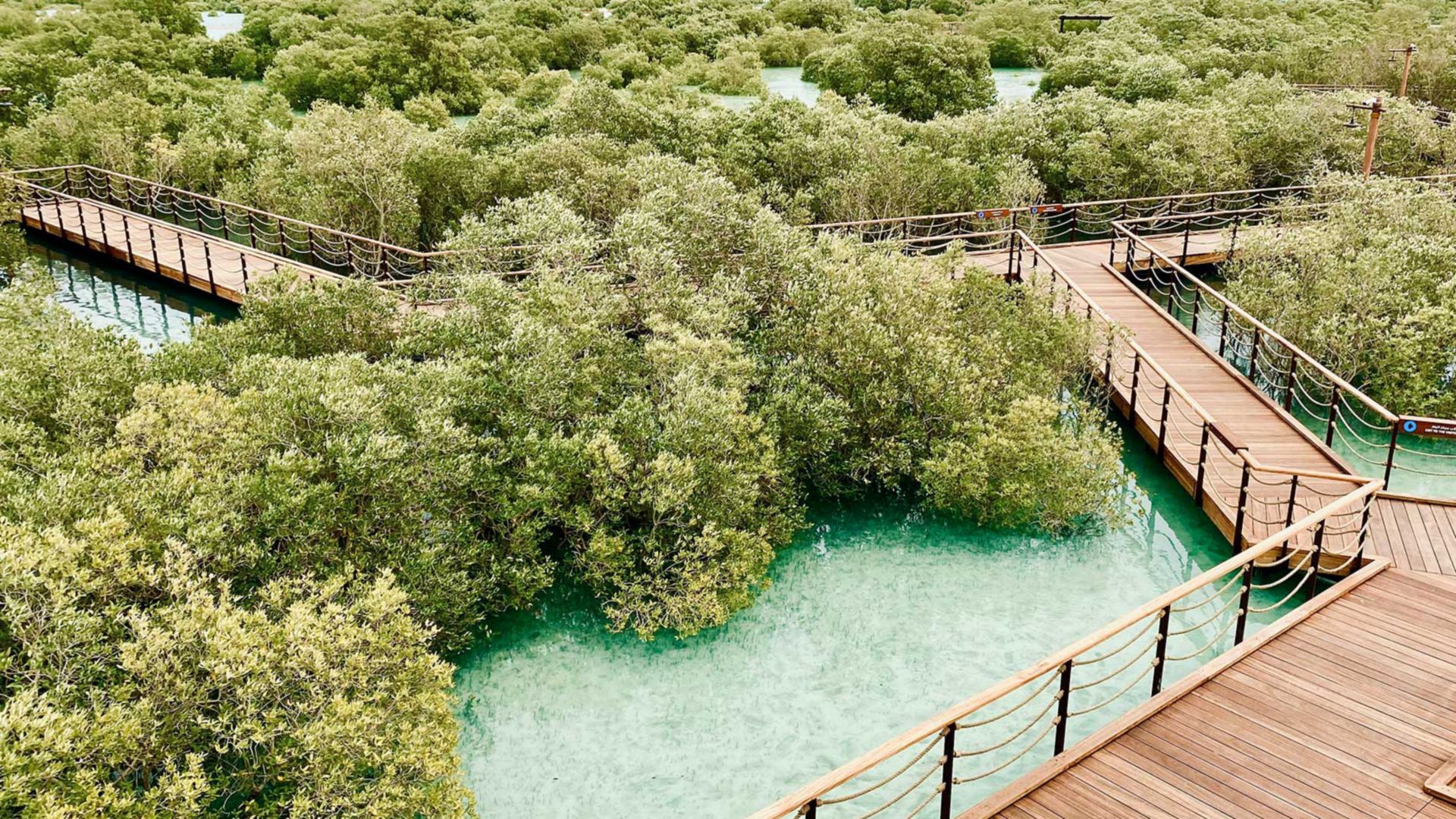 Kajakabenteuer durch den Reem Central Park