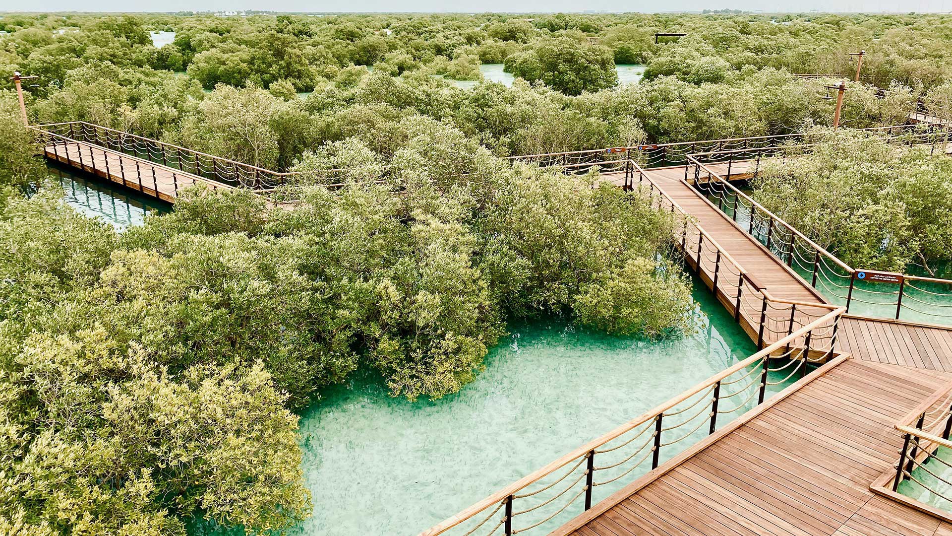 bridge over the river in summer in Abu Dhabi