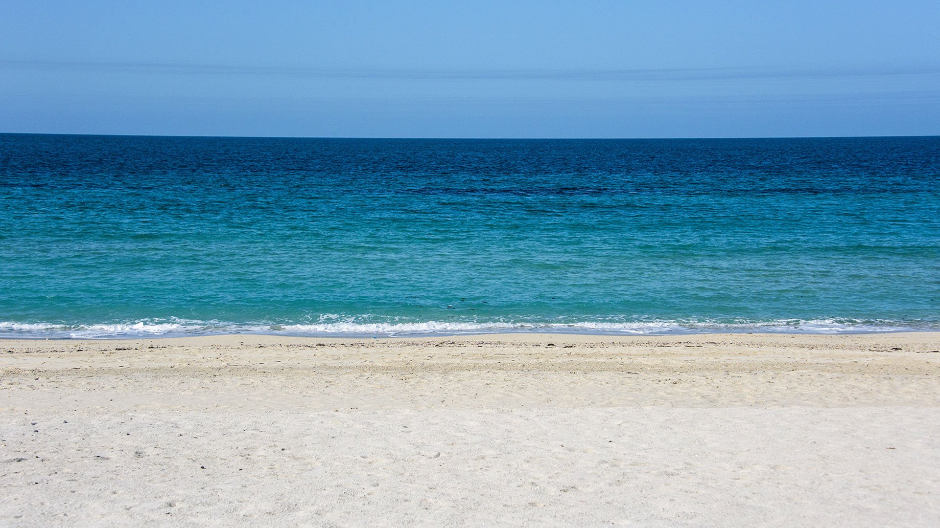 Beach of Sir Bani Yas Island