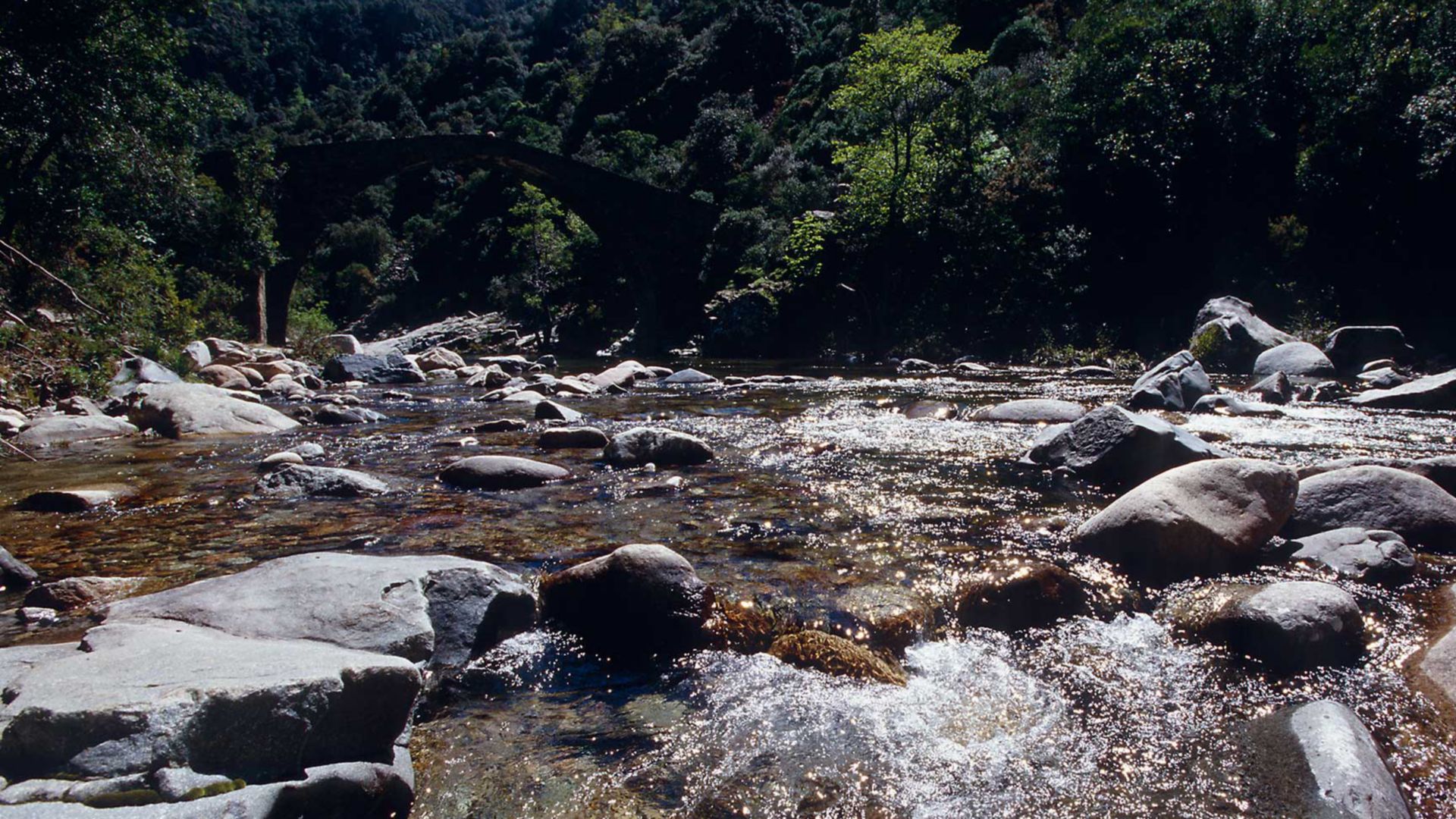 Canyoning für Fortgeschrittene - Wandern einmal anders