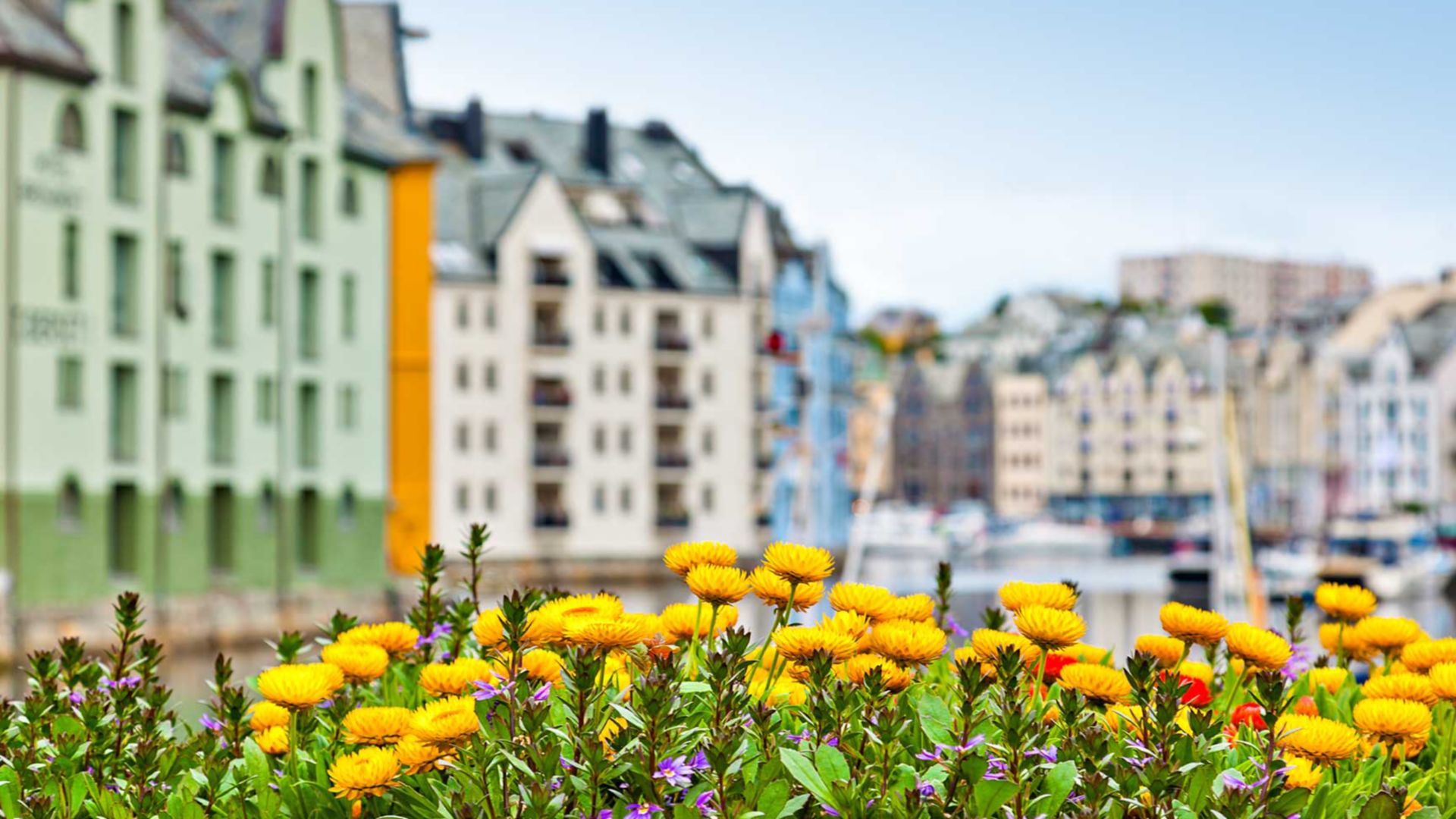 Komm an Land: Ålesund und Umgebung