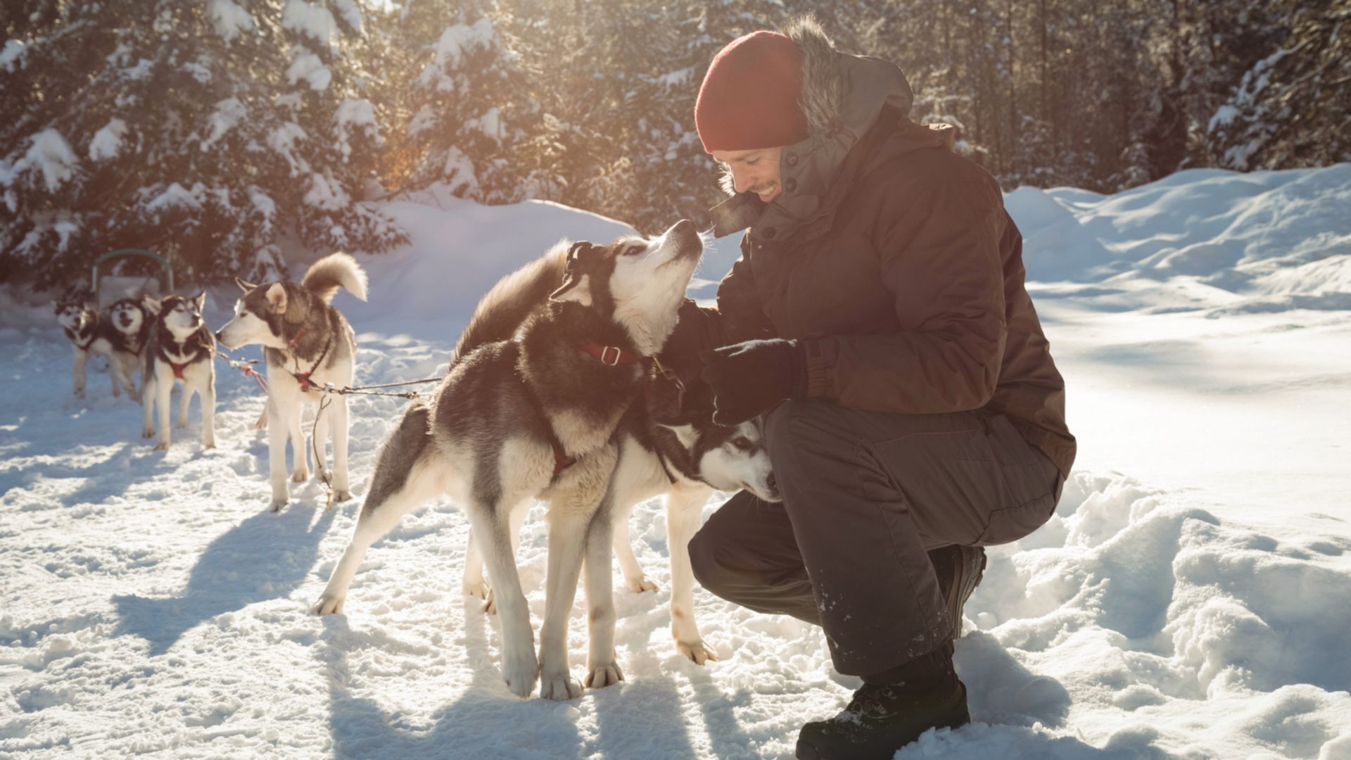 Zu Besuch bei den Huskies 