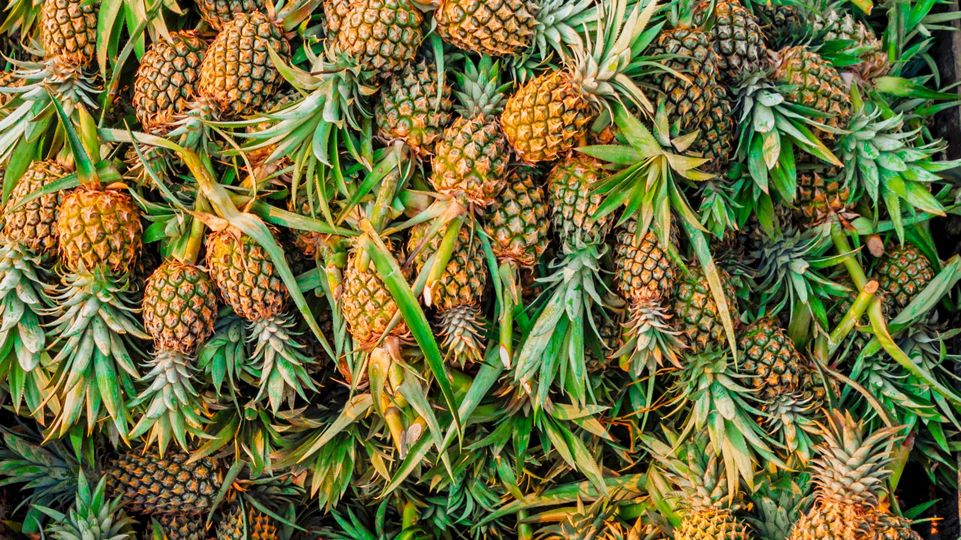 Vietnamese woman selling pineapples on floating market, Mekong River Delta, Vietnam