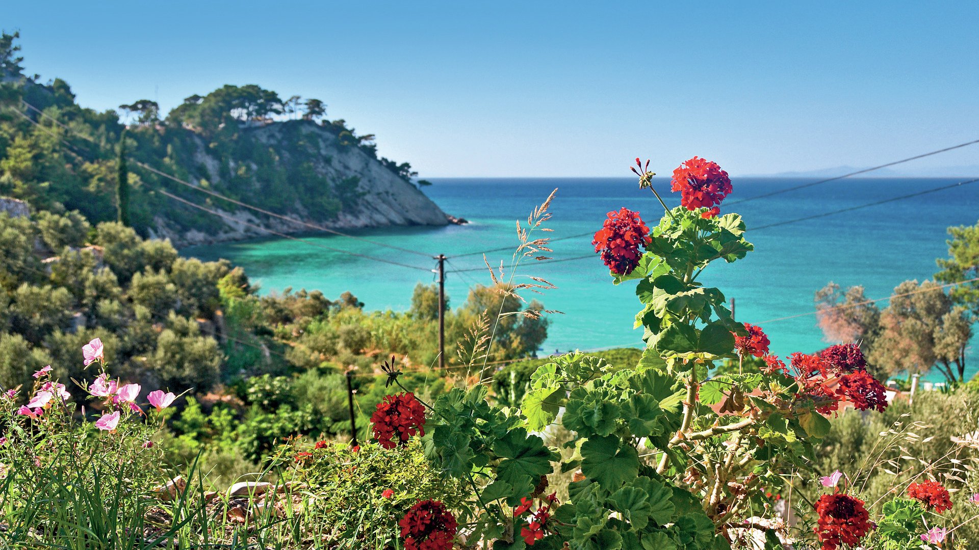 Komm an Land: Landschaftsfahrt über die Insel Kefalonia