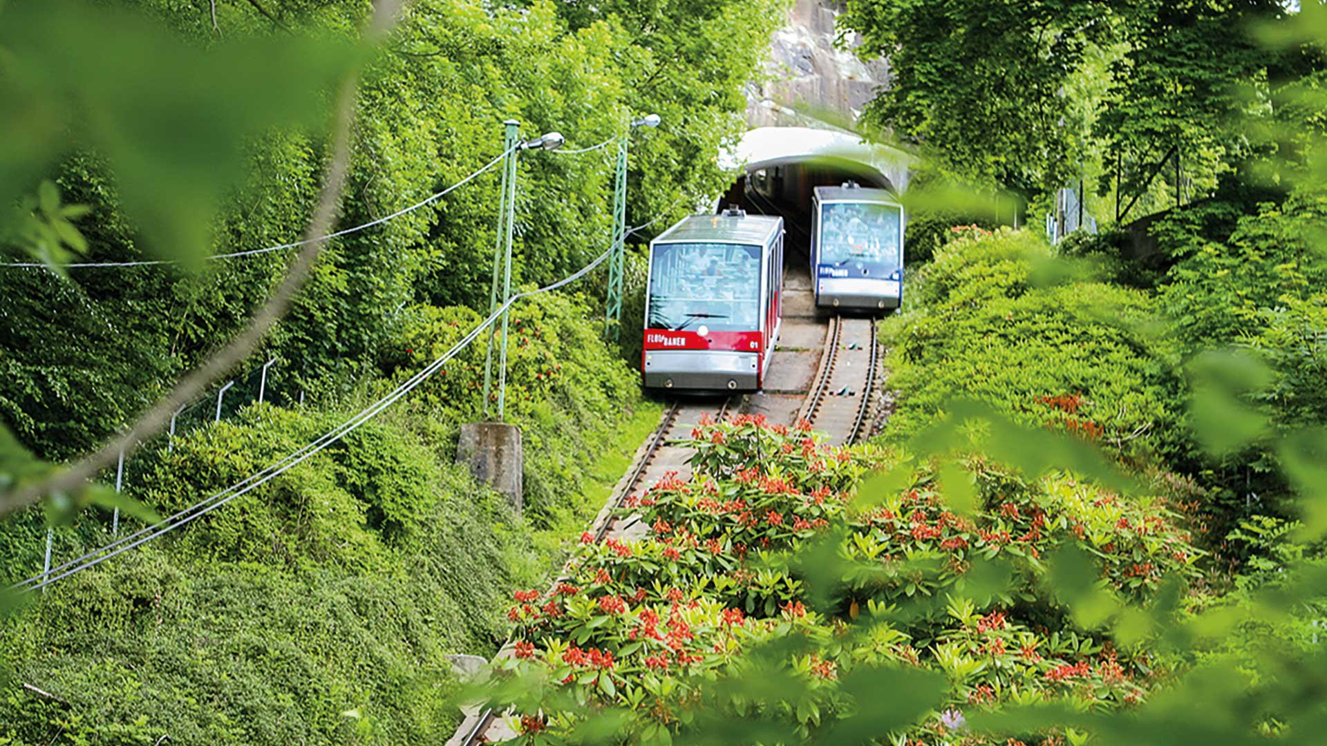 Bergen und Fløi-Bahn