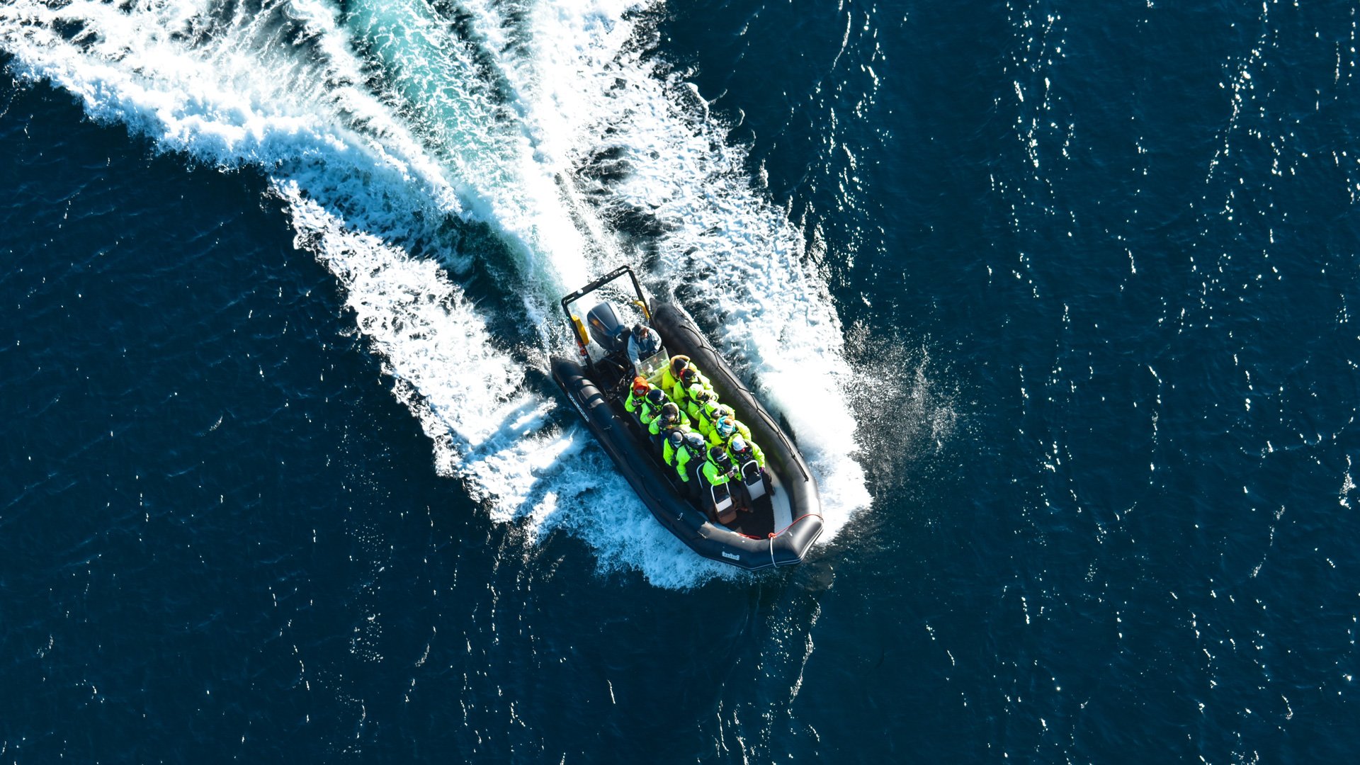Mit dem RIB Boot zum stärksten Gezeitenstrom der Welt