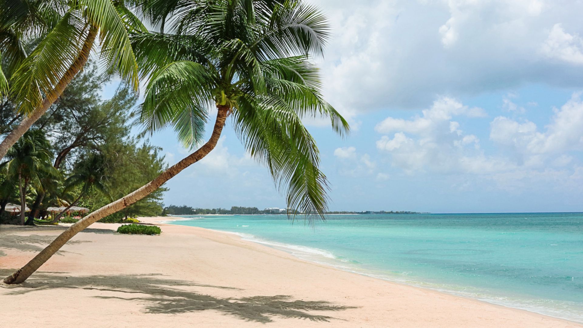 Grand Cayman: zu Wasser und zu Land