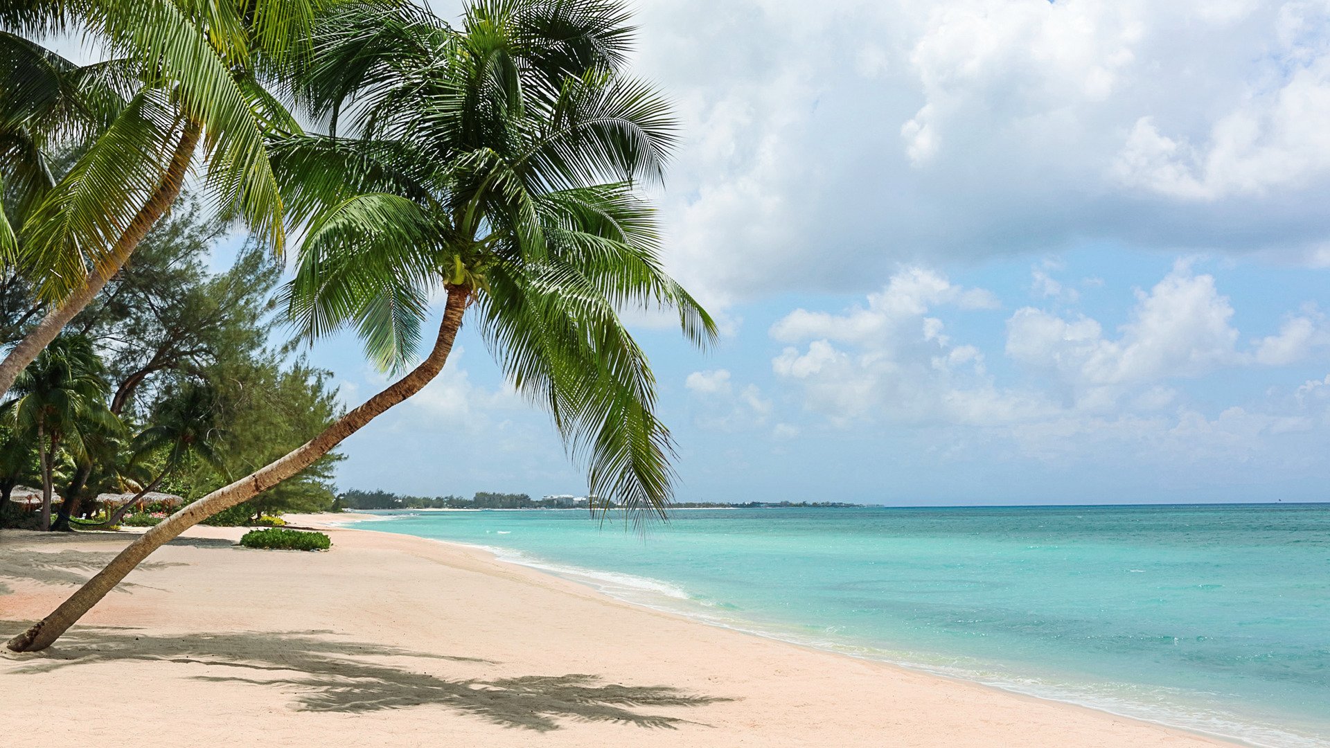 Caribbean Beach