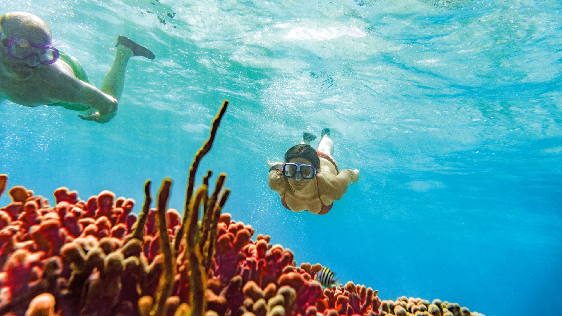 Beim Schnorcheln die Unterwasserwelt erkunden