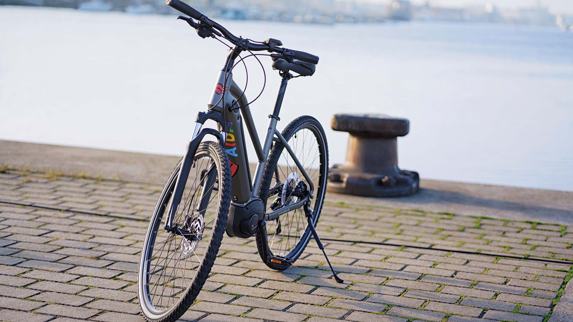 Delft, Natur und Rotterdam mit dem E- Bike